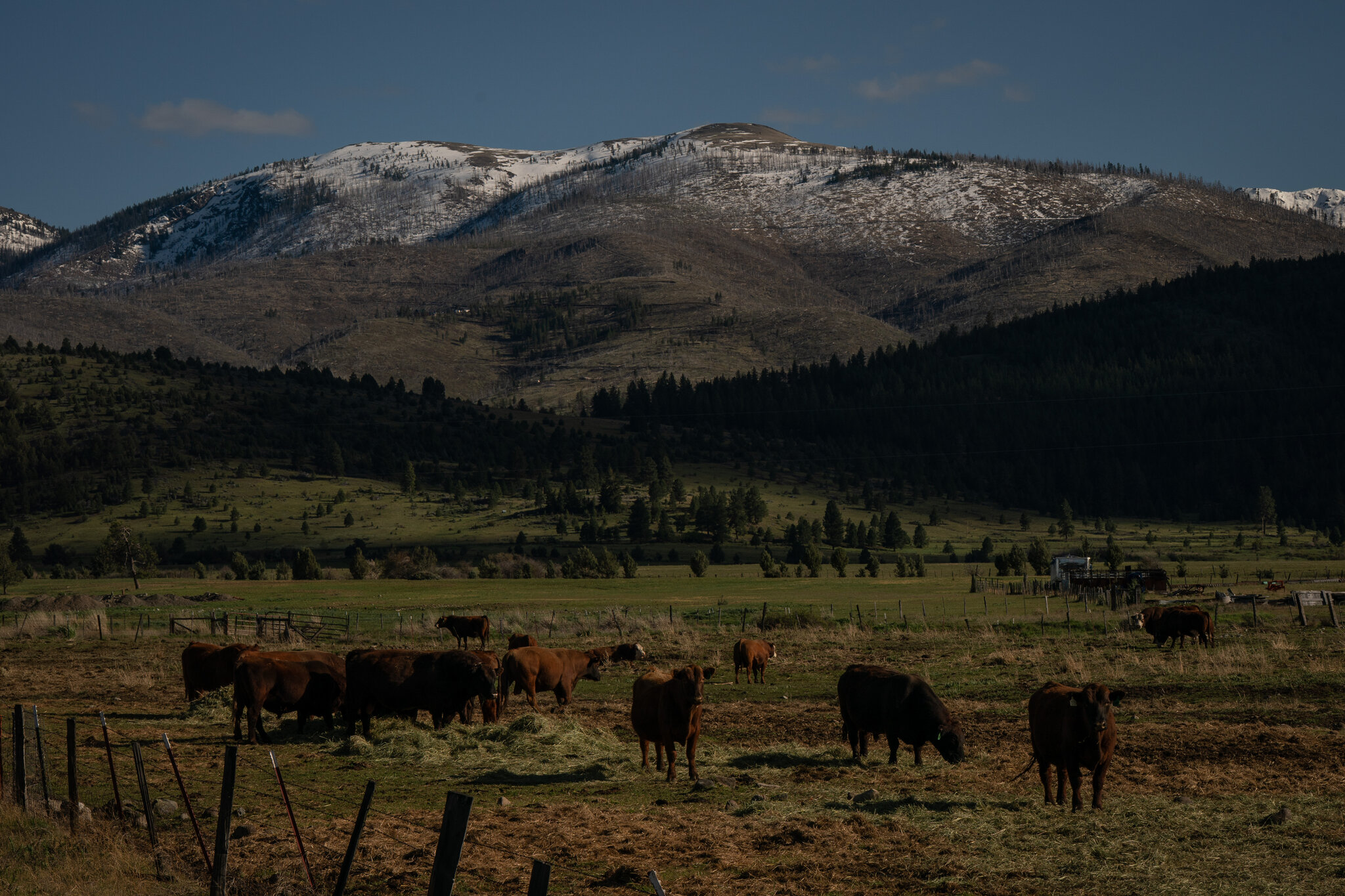 Oregon Prepares for a Challenging Summer of Water Shortages and High Fire Risk