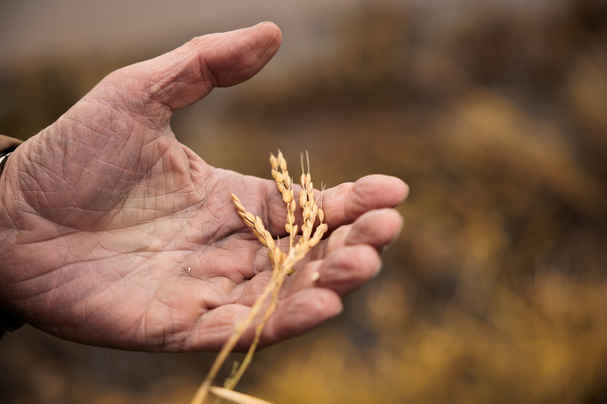 House Passes Farm Bill After Republican Infighting
