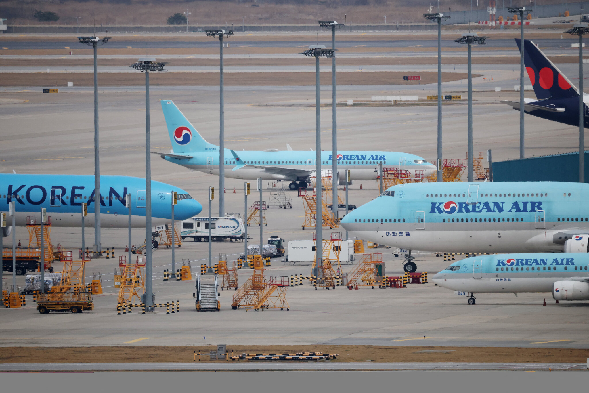 Korean Air Bans Roosters on U.S. Flights to the Philippines