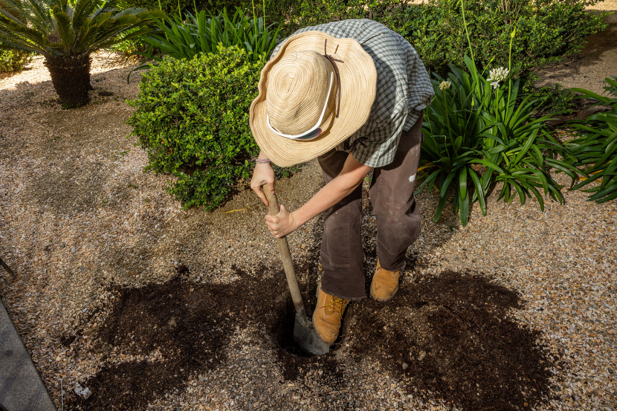The Race Is On to Find the Treasure Buried in San Francisco