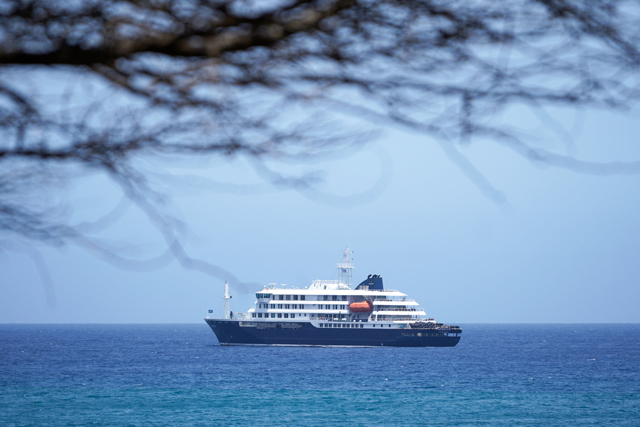 Cruise Ship Struck by Hantavirus Is to Head to Canary Islands, W.H.O. Says