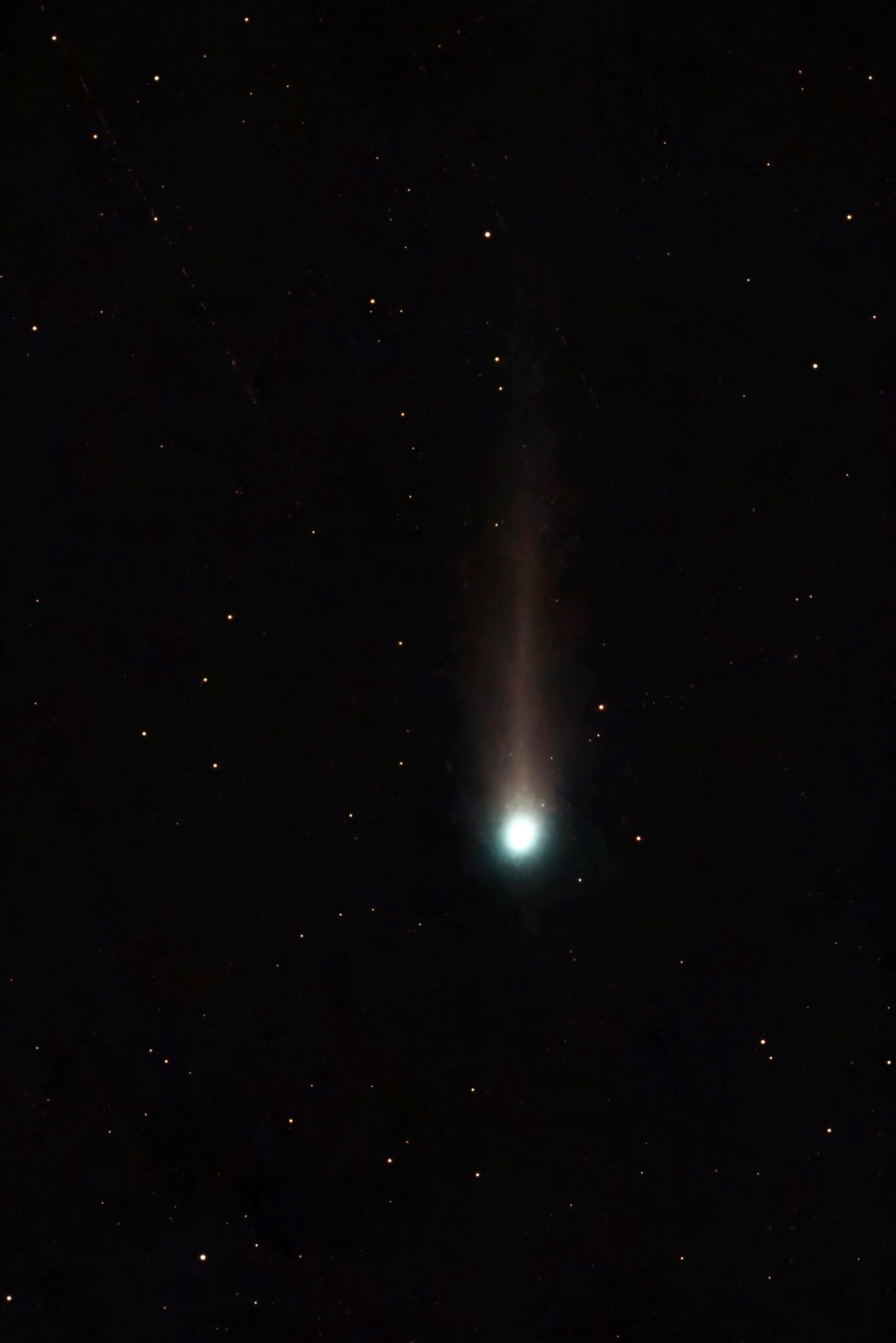 A Visitor From the Oort Cloud: Rare Comet Appears in Southern Skies