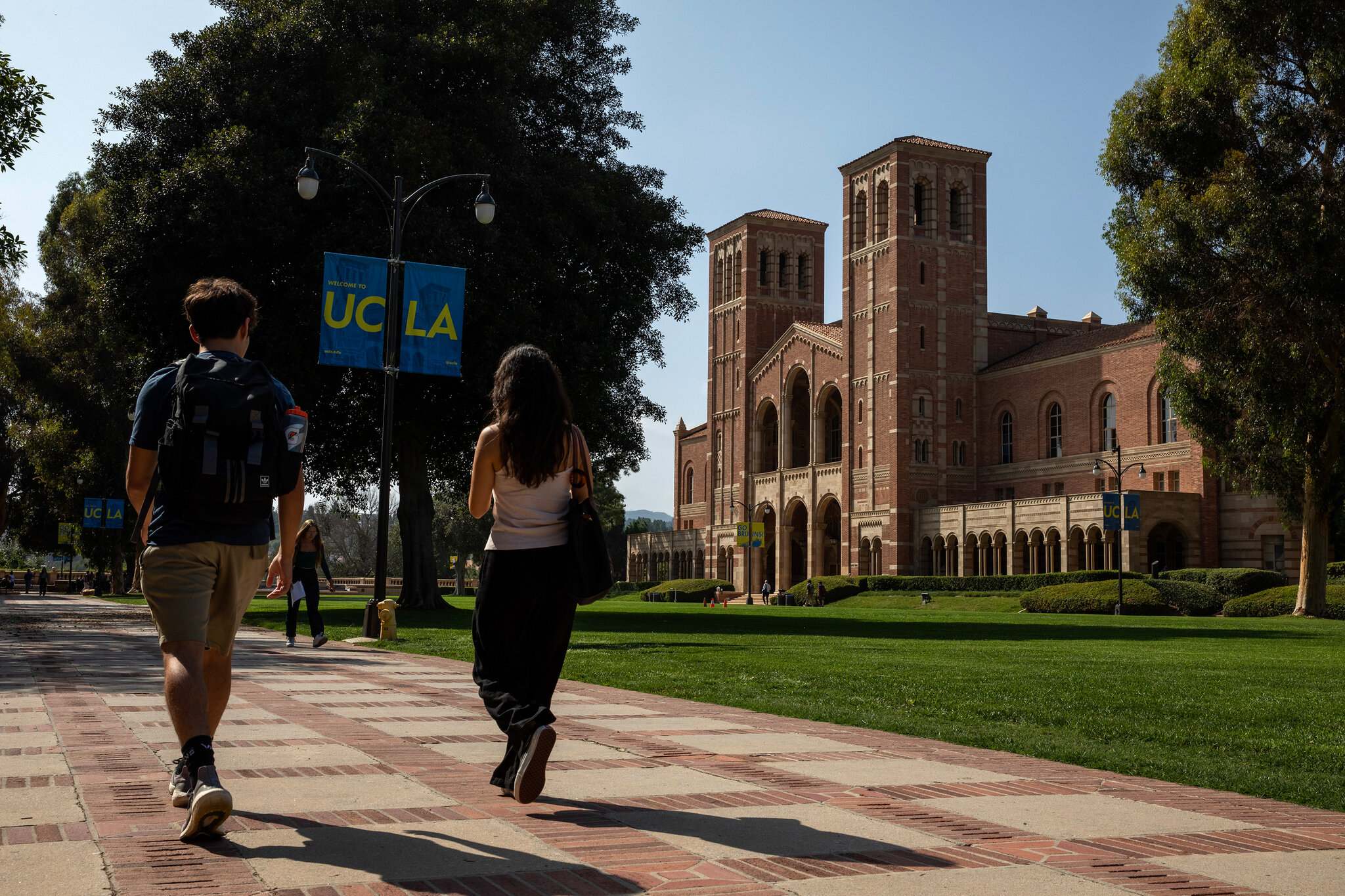 Justice Dept. Accuses U.C.L.A. Medical School of Bias Against White and Asian Applicants