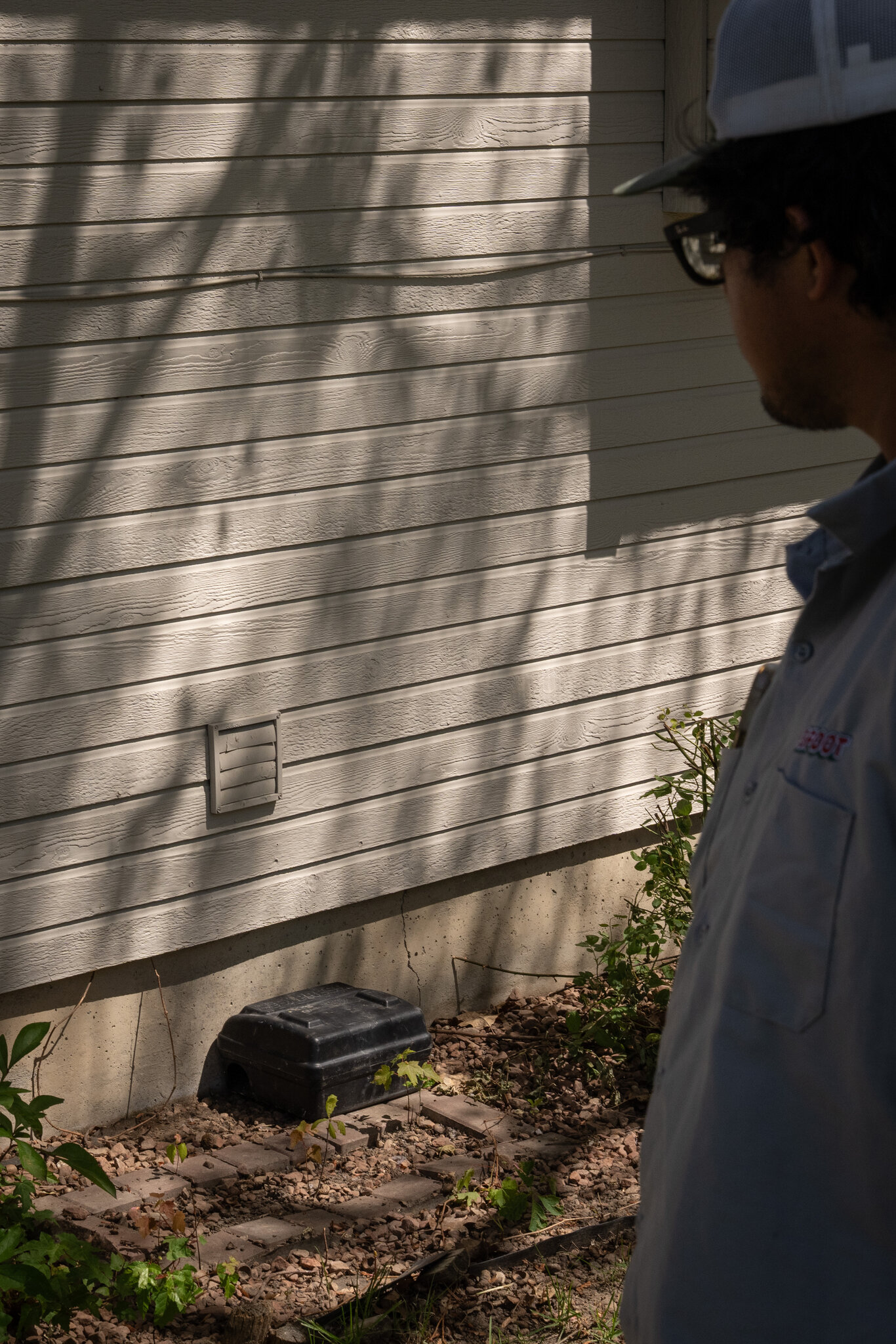 In Idaho’s Suburbs, a Rat Invasion Tests the Limits of Small Government