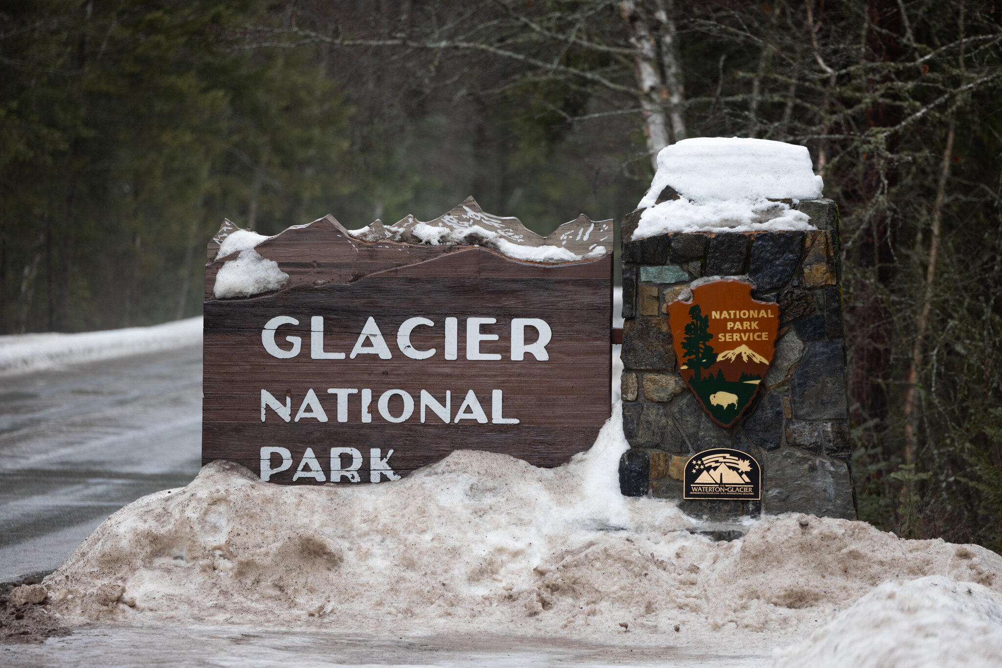 Hiker Killed by Bear in ‘Surprise Encounter’ at Glacier National Park, Officials Say