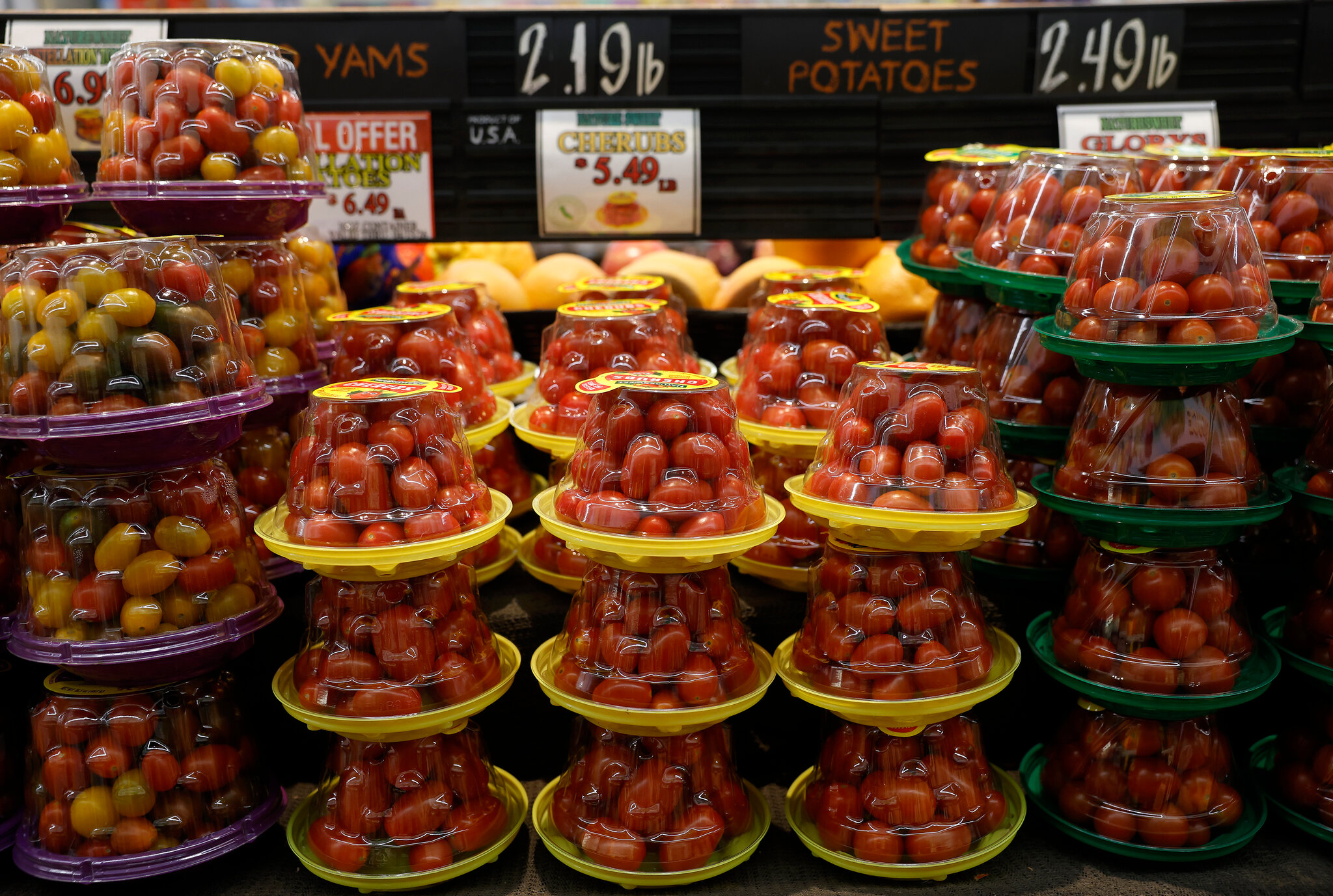 Tomato Prices Soar as War, Tariffs and Weather Affect a Popular Crop