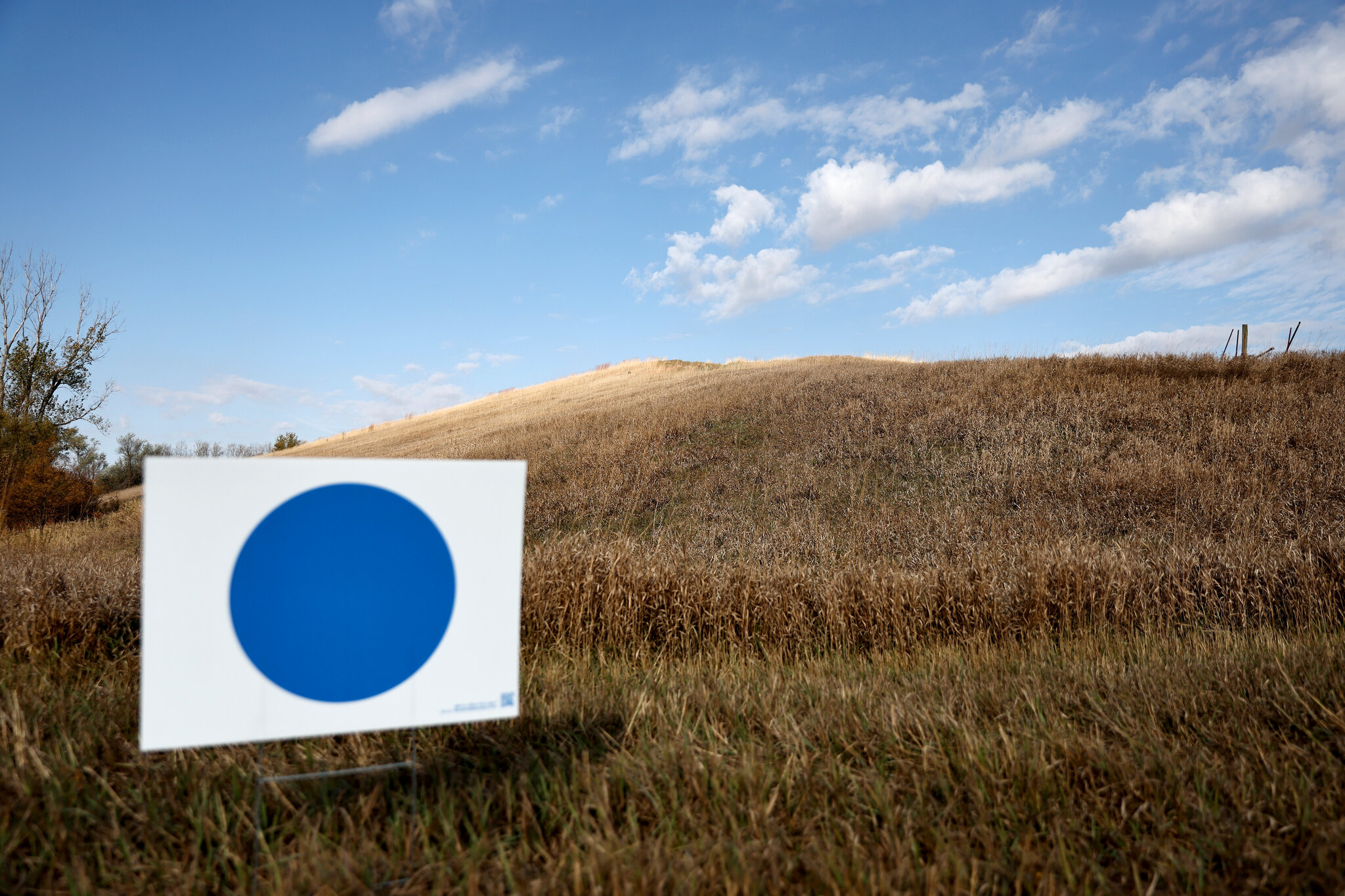 What to Watch in Tuesday’s Primaries in Nebraska and West Virginia
