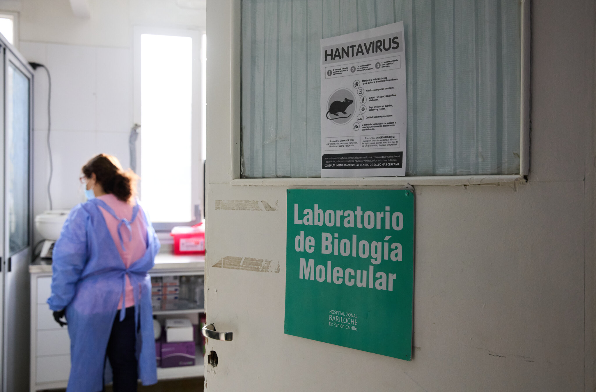 Argentina Races to Find Origin of Hantavirus Contagion