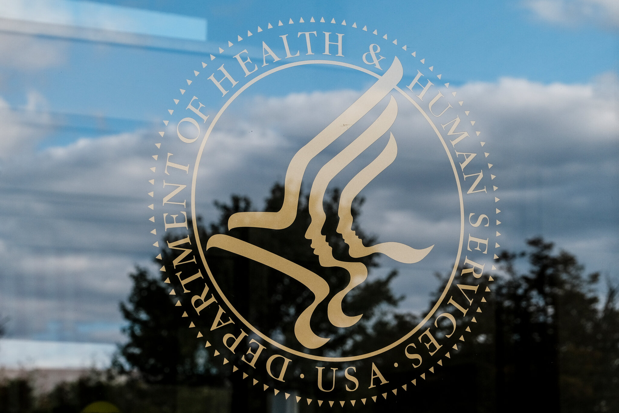 Top Kennedy Spokesman Resigns in Protest of Move to Allow Flavored Vapes