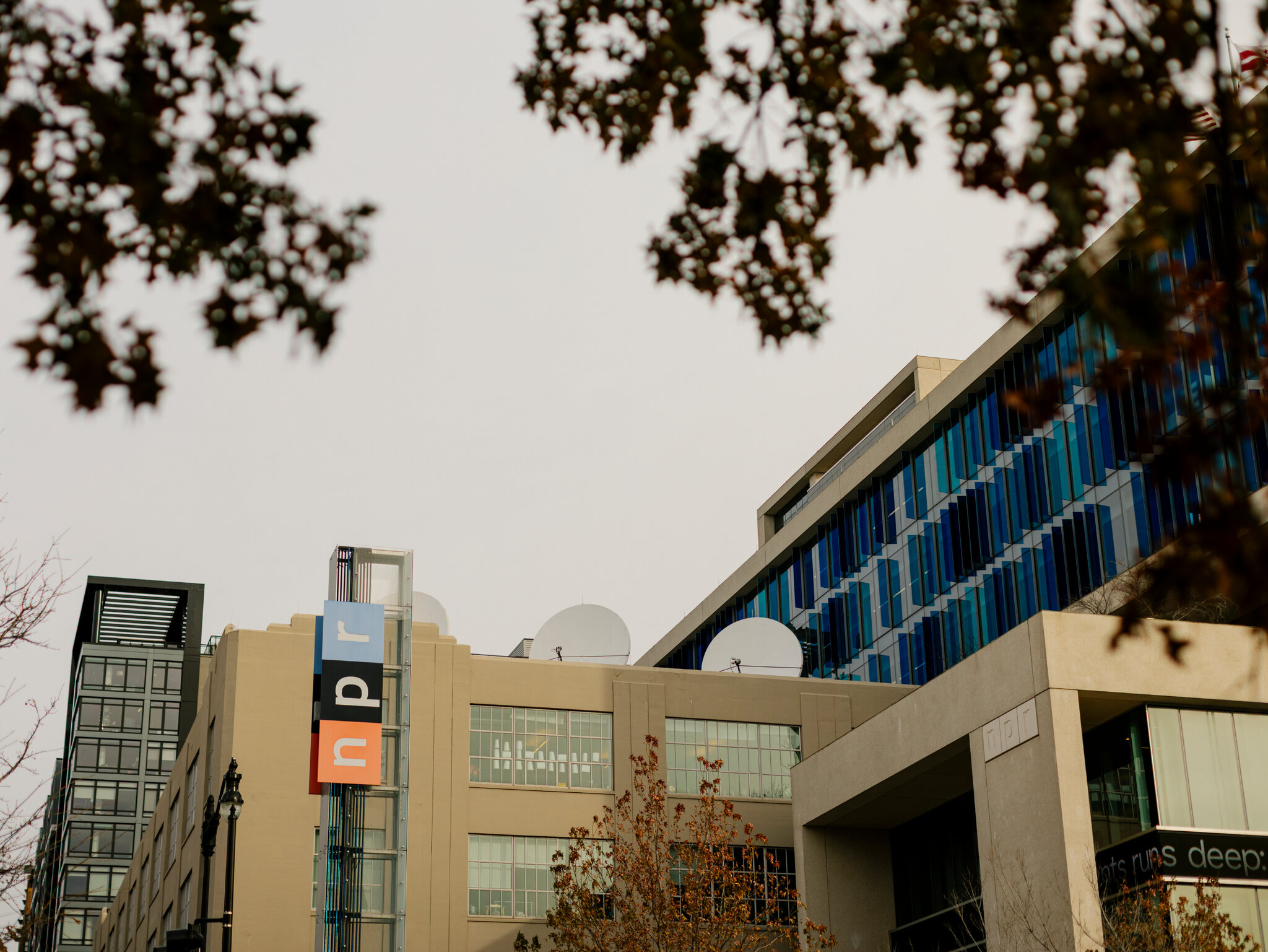 NPR Podcast Host Exits Amid Workplace Investigation