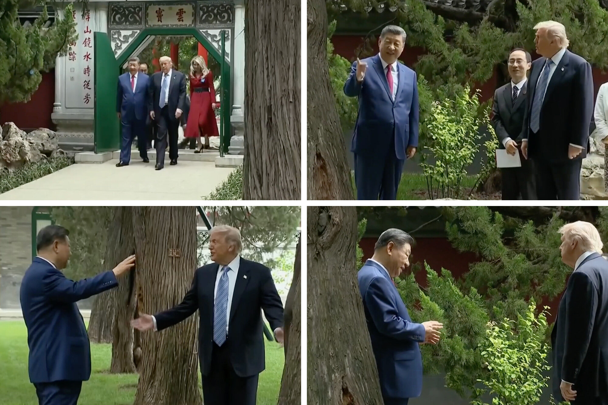 ‘For Example, Putin’: How Xi Used a Private Garden Walk to Charm Trump