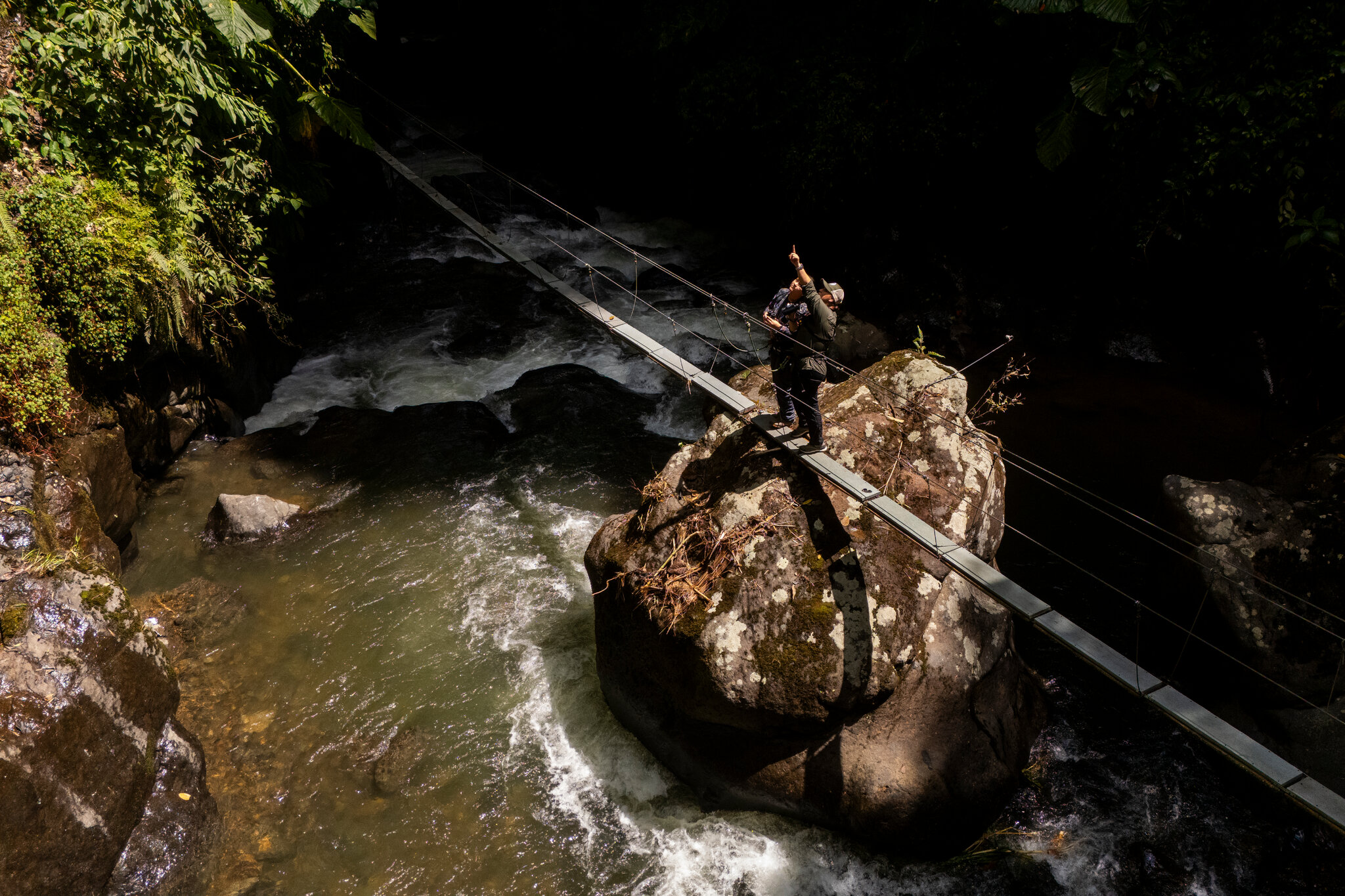 App-Driven Birding Attracts Flocks of Enthusiasts to Colombia