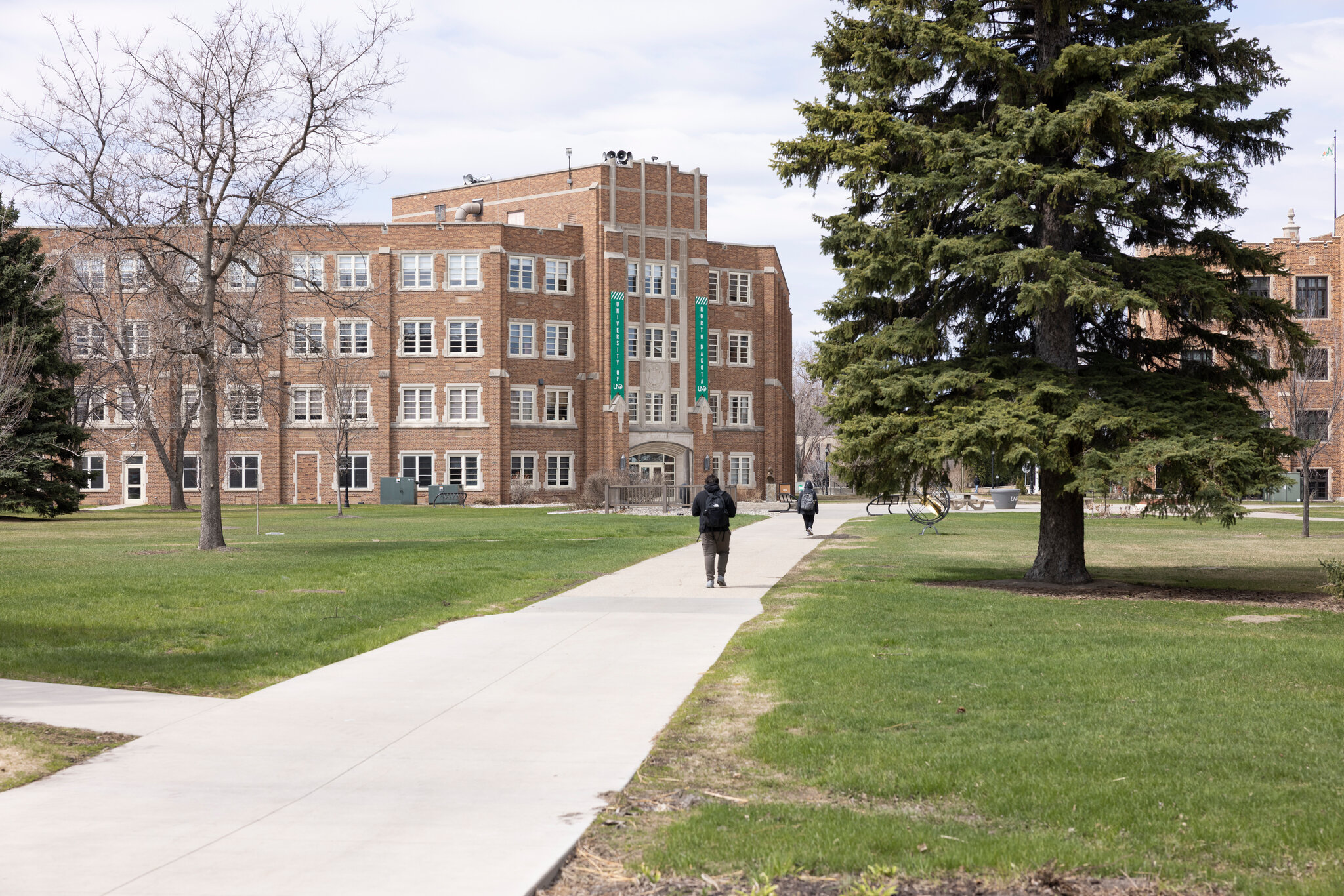 Colleges Are Building A.I. Degrees, Hoping Students Will Come