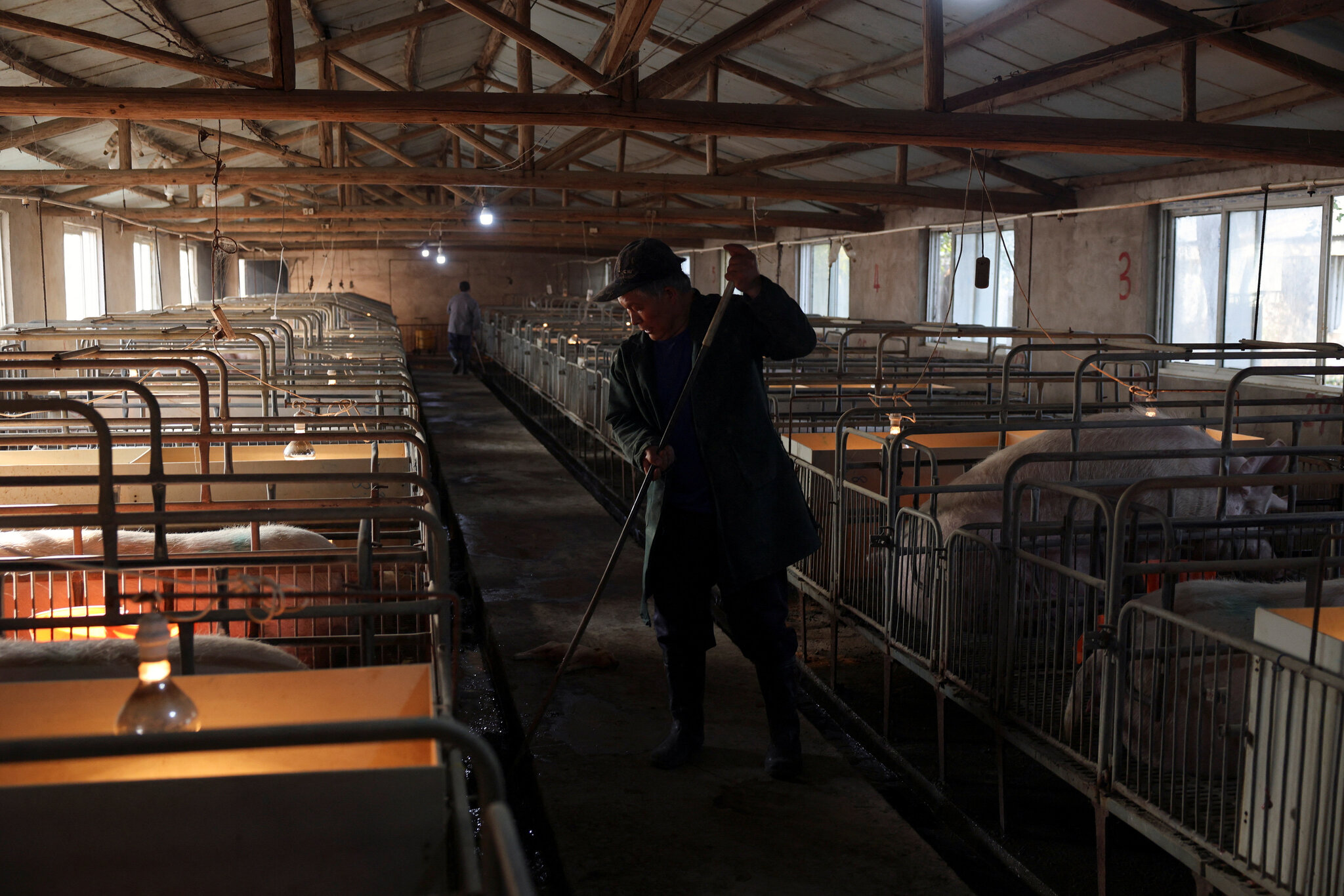 What Plunging Pork Prices Say About China’s Economy