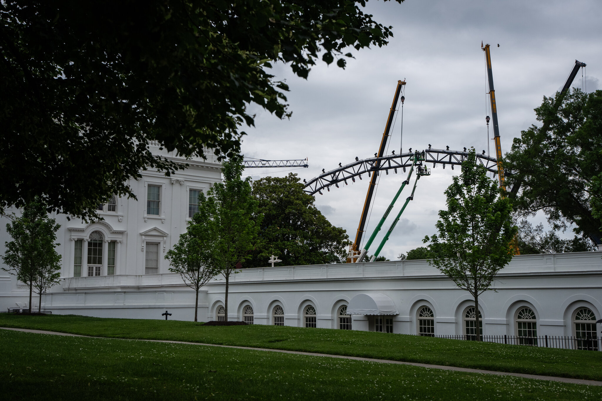 U.F.C. Fight Venue Takes Shape on the White House Lawn