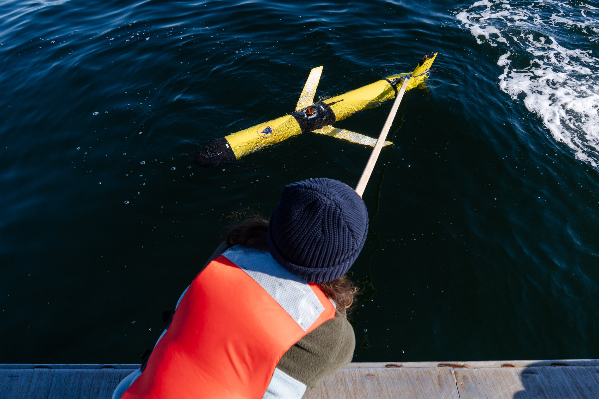 Could New Tech Help Save Some Very Rare Whales?