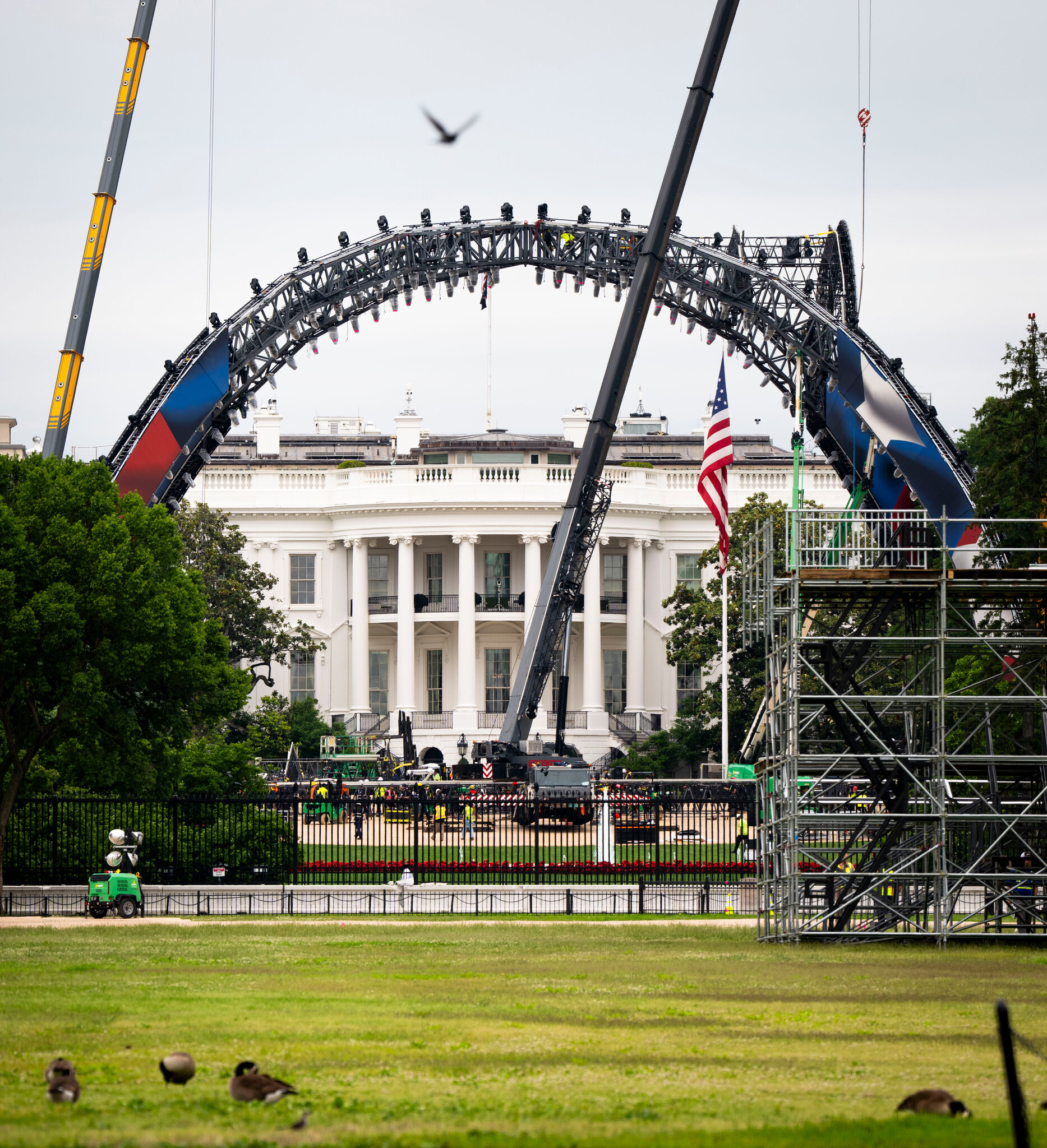 When D.C. Goes HGTV