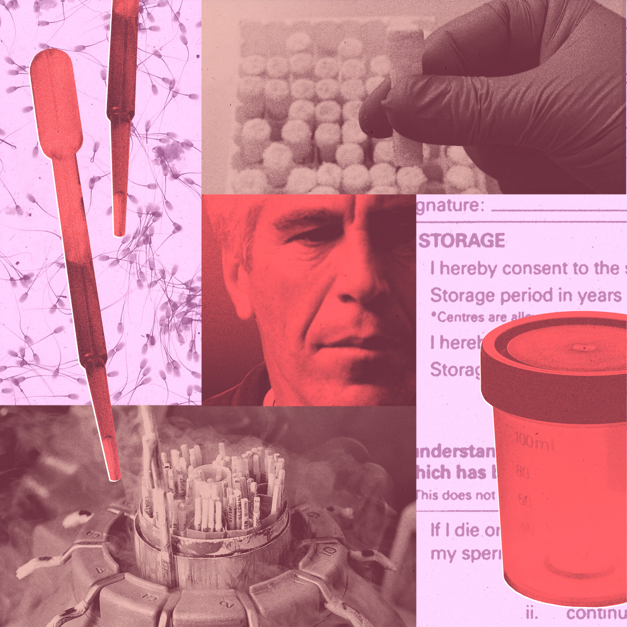 Jeffrey Epstein’s Sperm May Have Survived Him