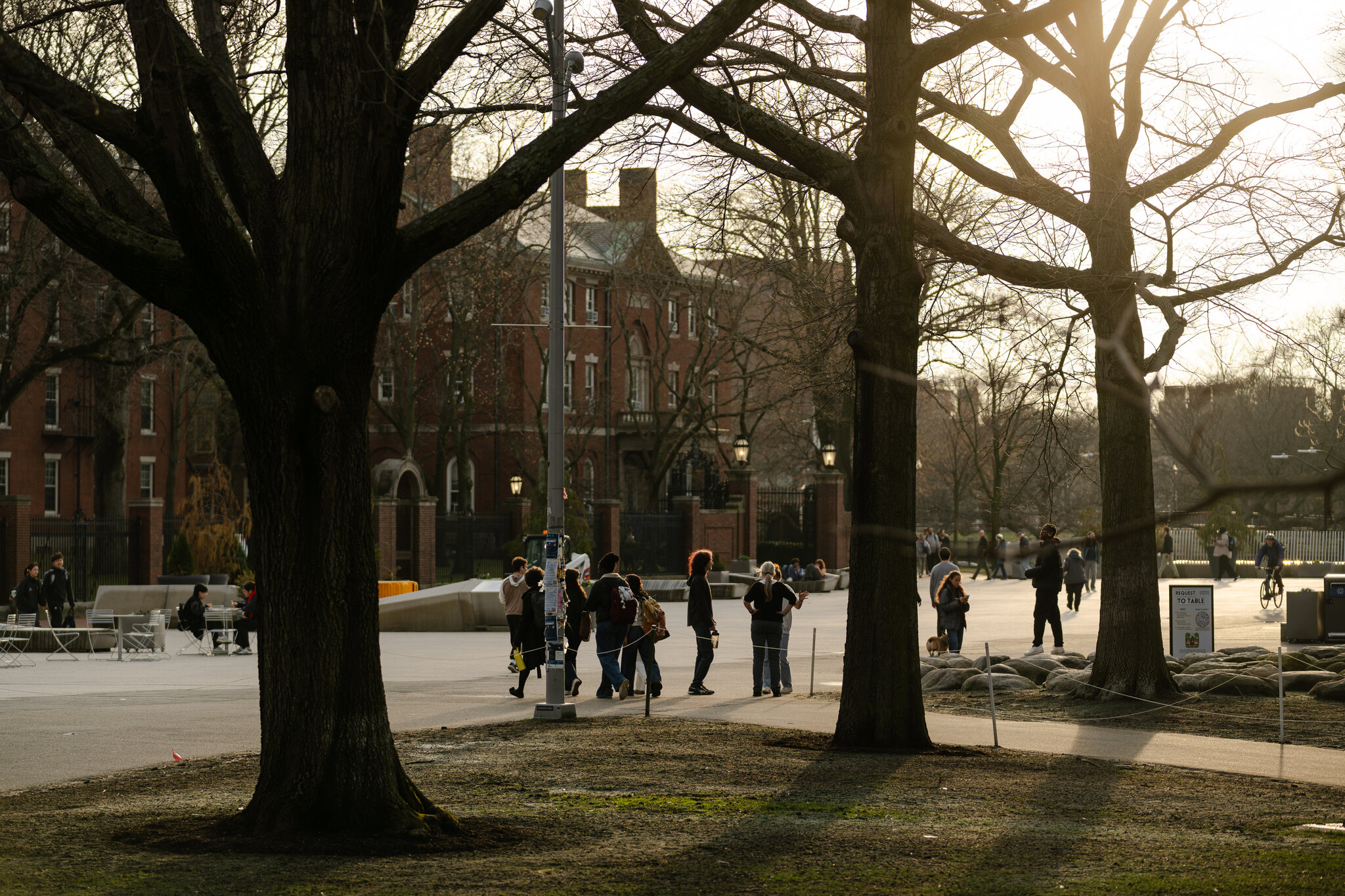 Research Funding Slows Again for Universities Targeted by White House