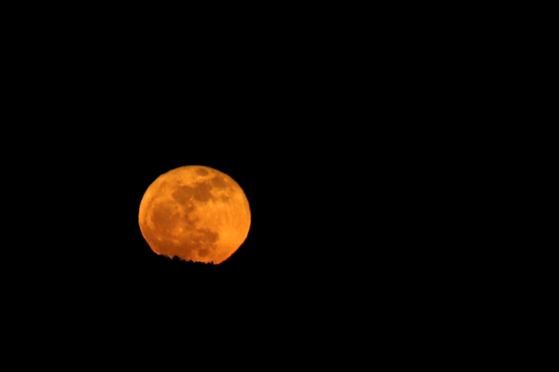The Blue Moon Is Back, and It’s Micro