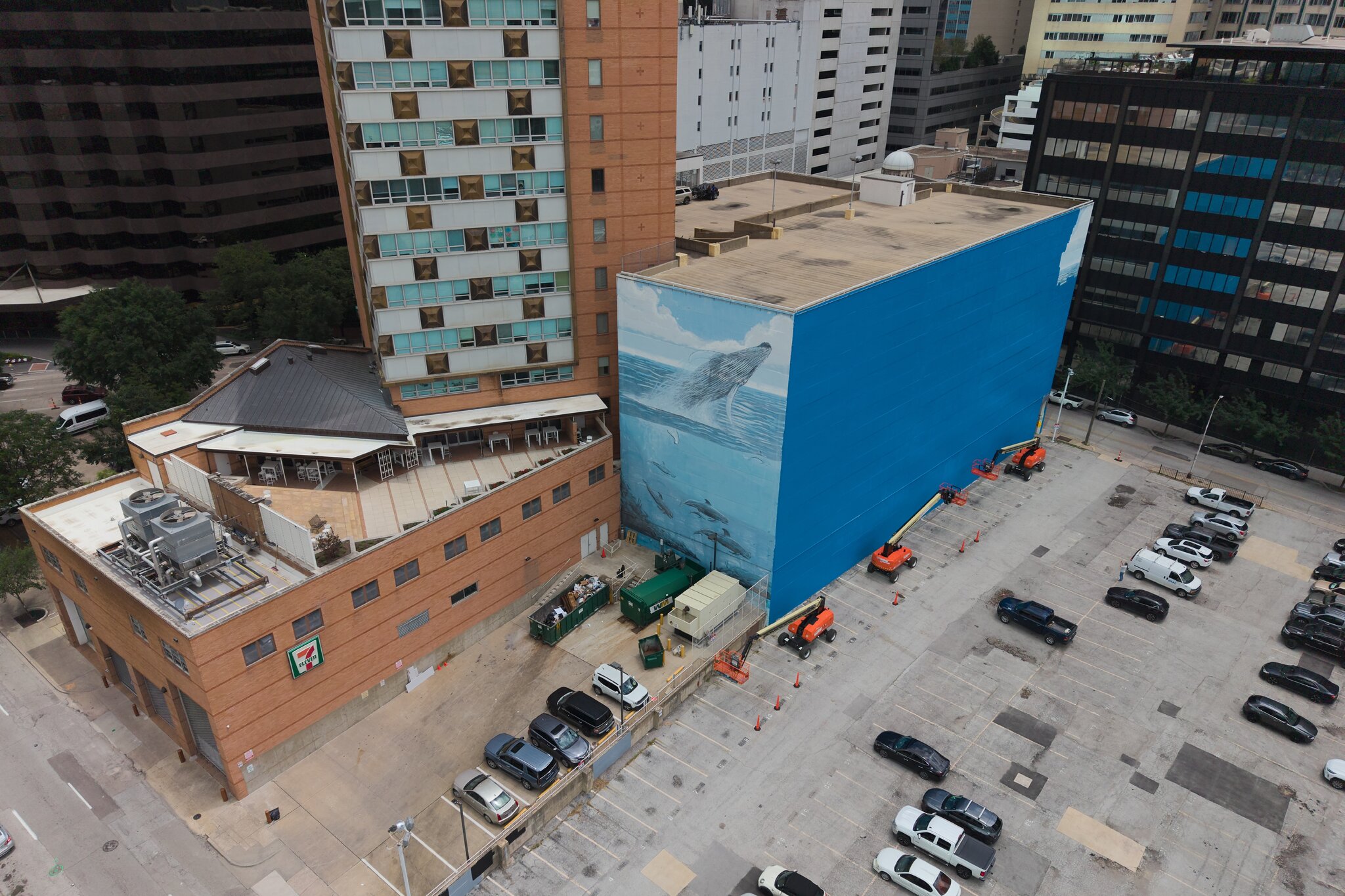 Artist Sues FIFA Over Destruction of Dallas’s Iconic Whale Mural