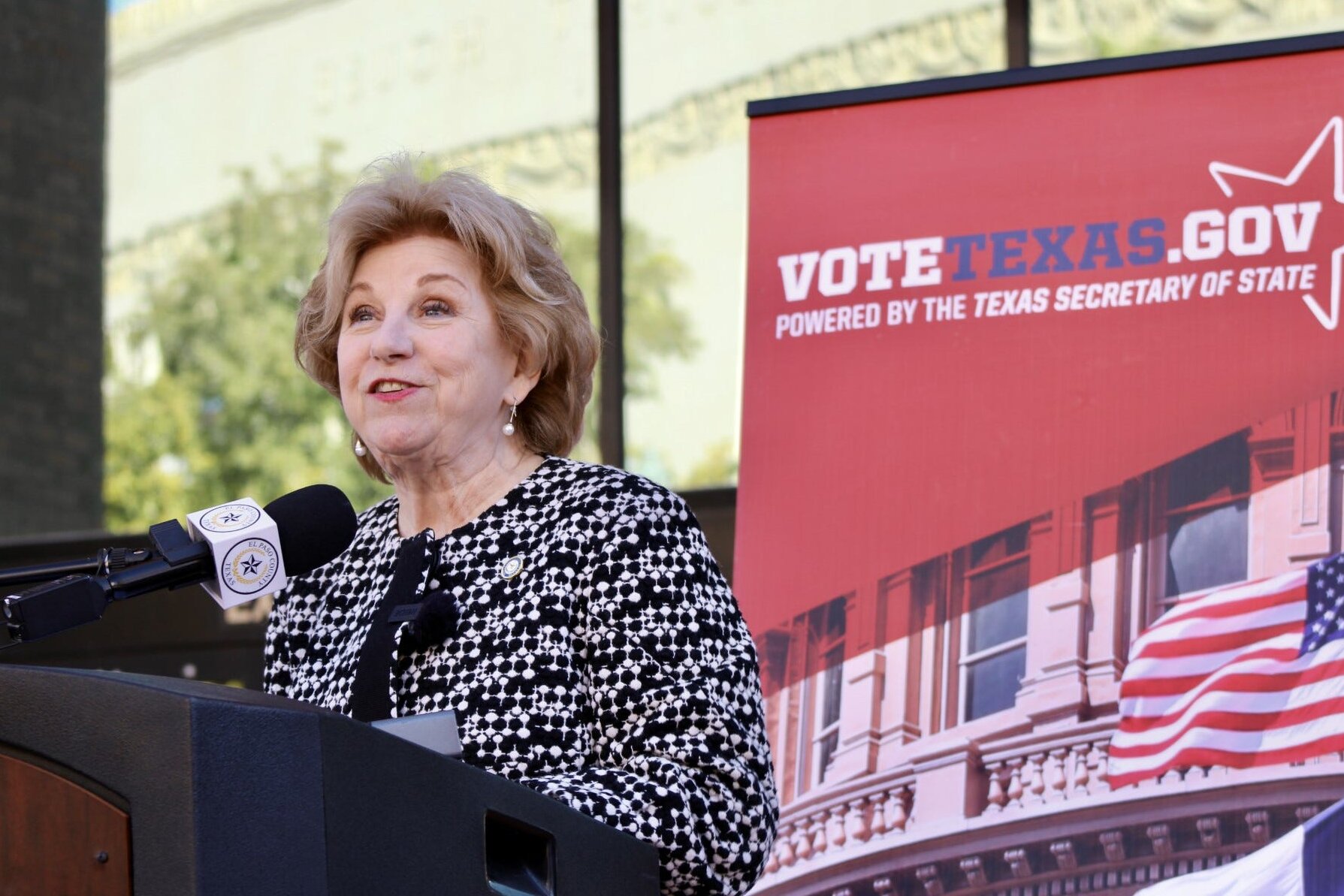 Top Texas Election Official to Resign, Months Before General Contest