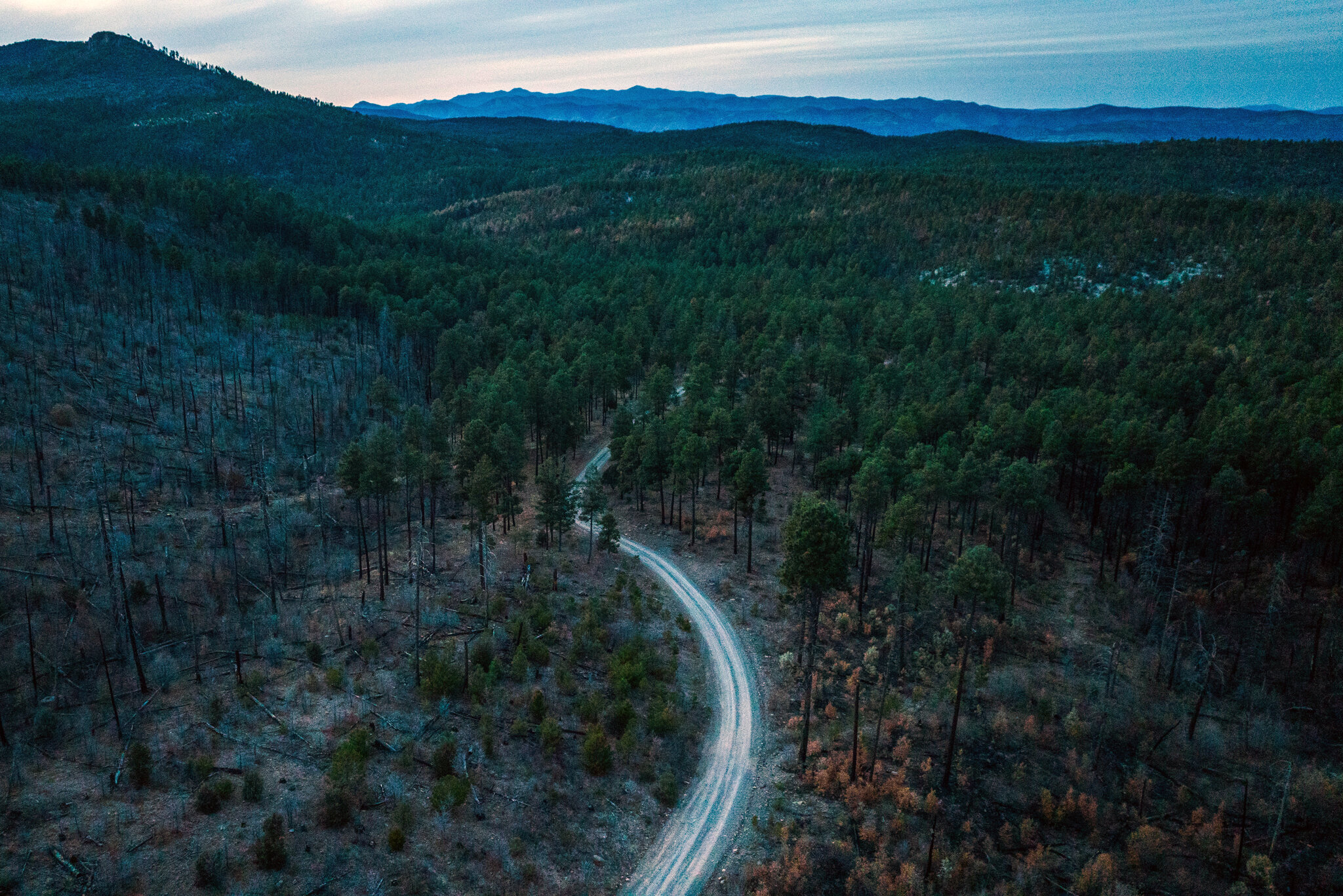 U.S. Forest Service to Open Millions of Acres to Off-Road Vehicles, Memo Shows