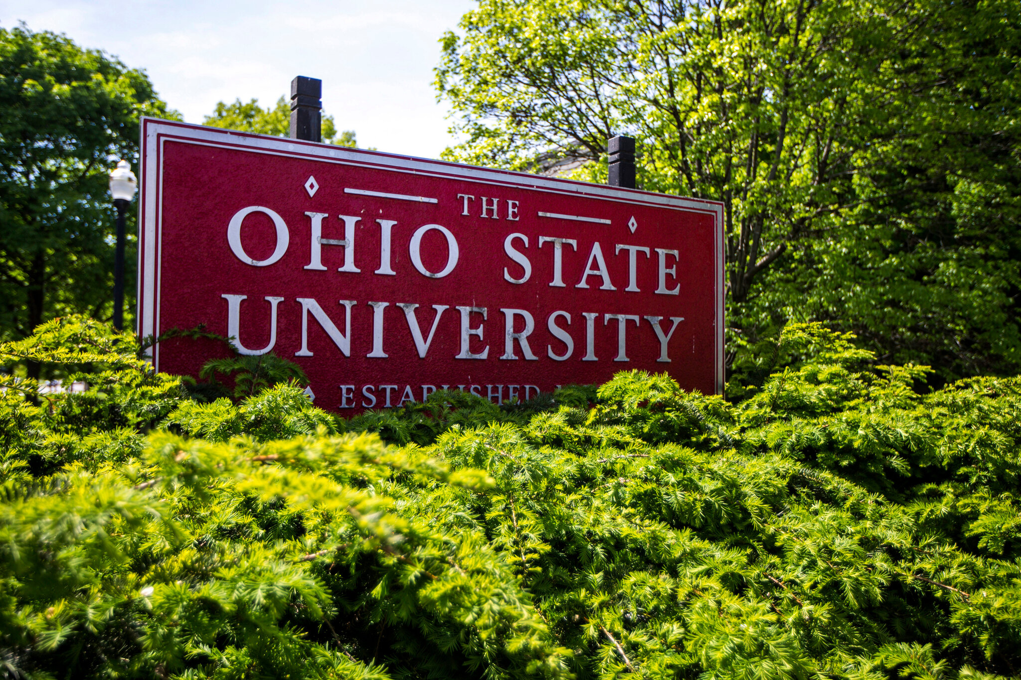 Ohio State Agrees to $100 Million Payout Over Sexual Abuse Claims