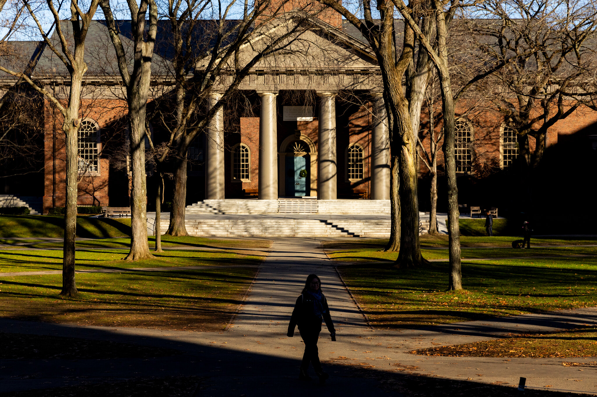 Legal and Lobbying Costs Surge as Universities Face Trump Pressure
