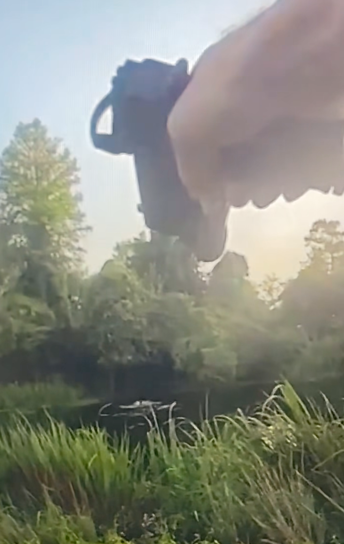 Man Is Attacked by Alligator After Fleeing Louisiana Police