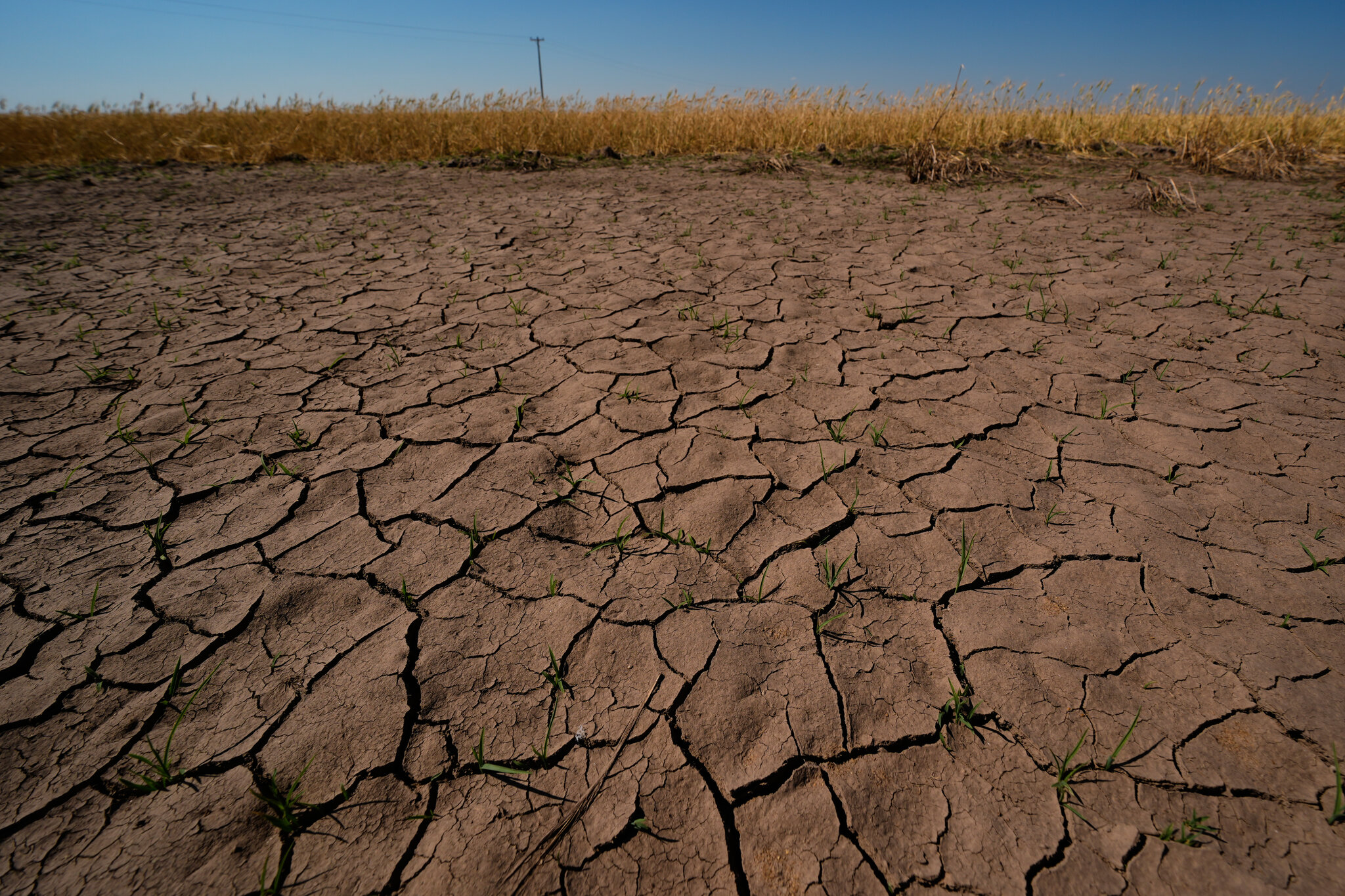 NOAA Officially Declares El Niño Is Here and Flashing Danger Signs