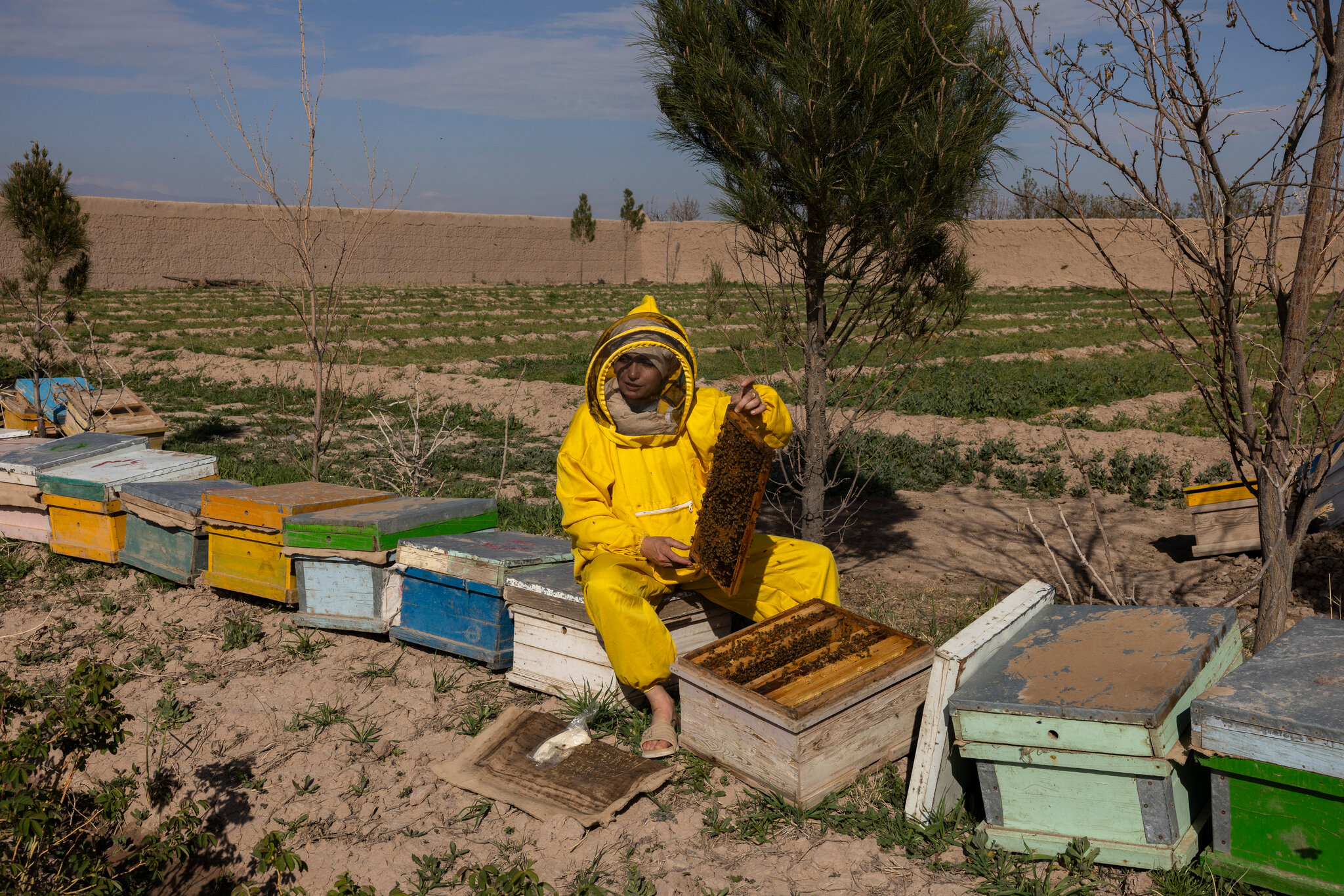 The Women Running Businesses Under Taliban Rules