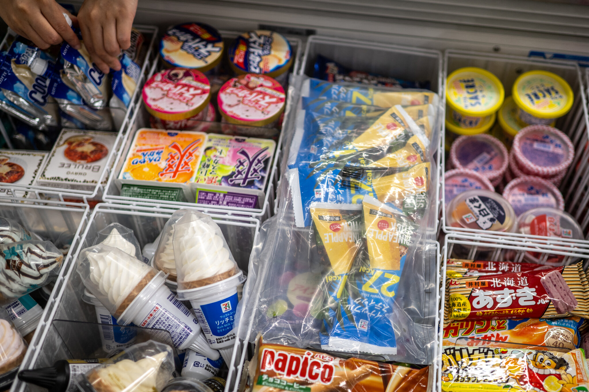 Japan Raids Ice Cream Giants in Cartel Investigation
