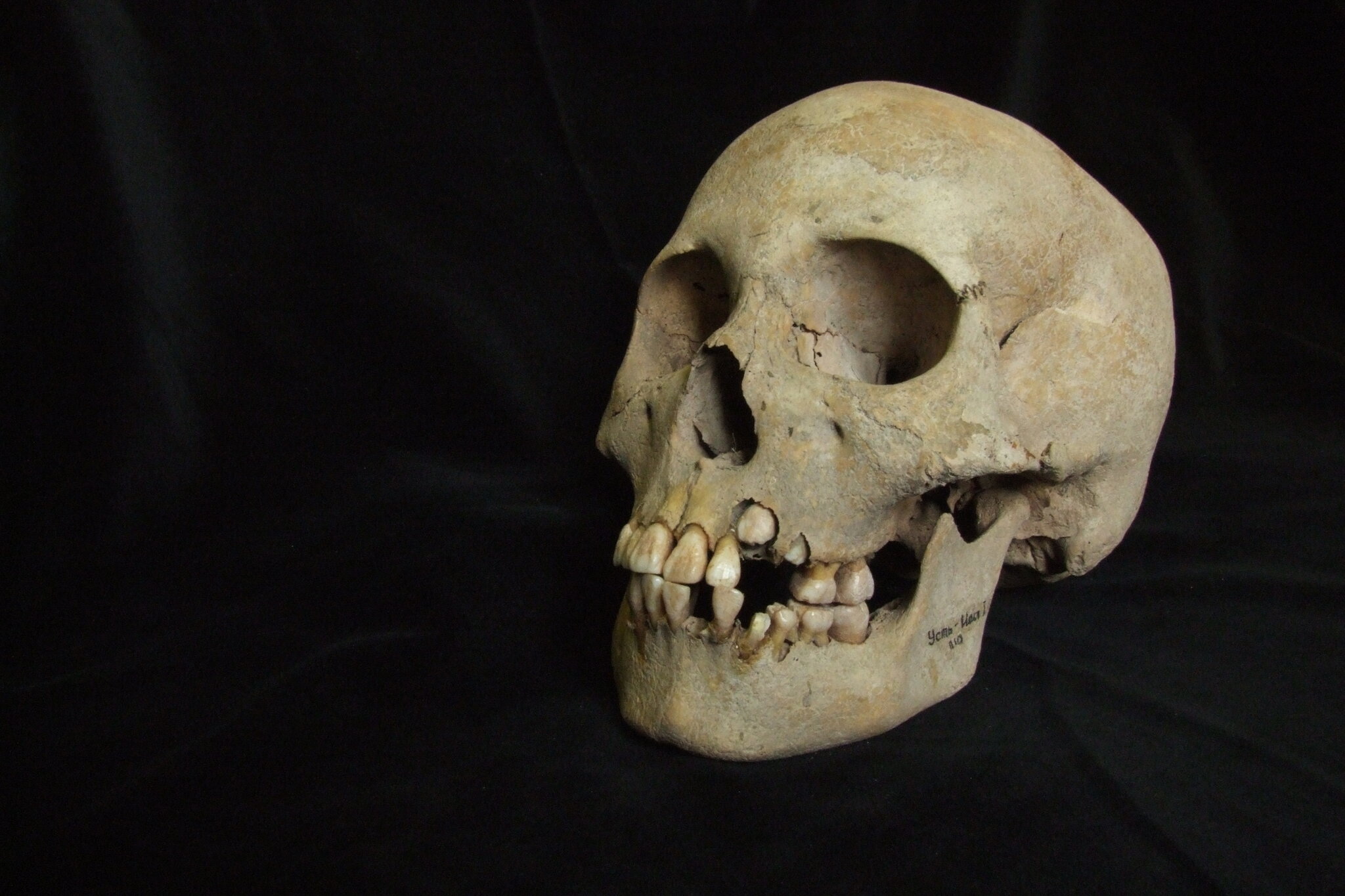 A Deadly Outbreak of Plague, Nearly 5,000 Years Before the Black Death