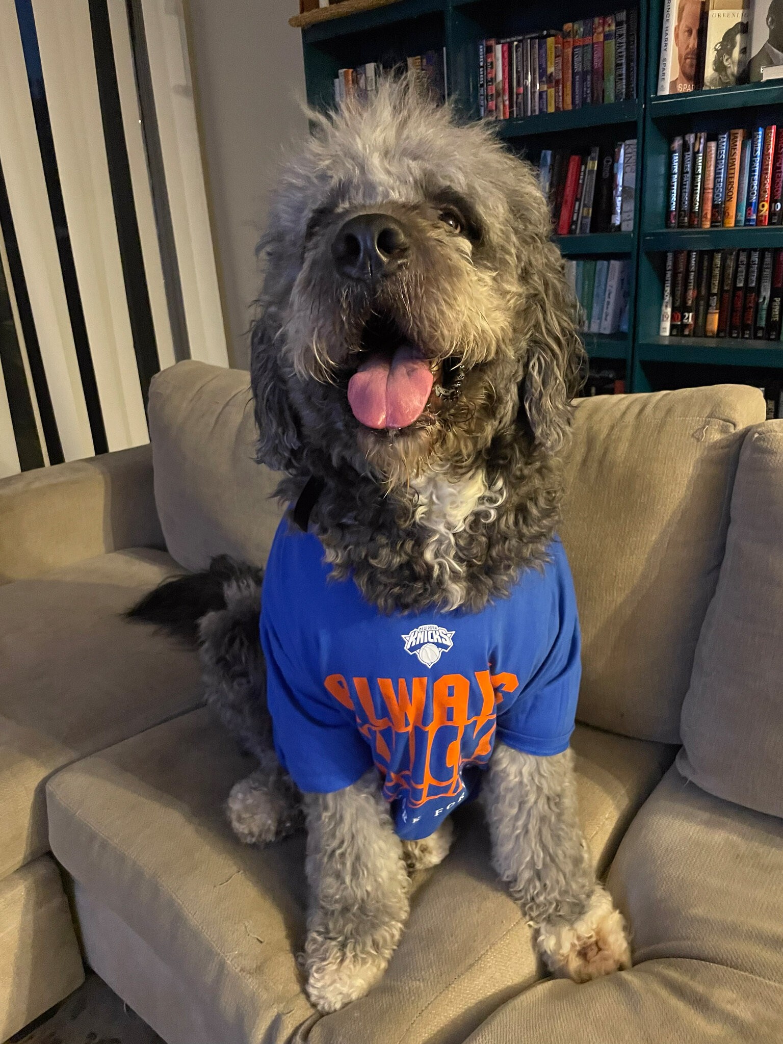 After Her Knicks Celebration Drew the Police, an Officer Killed Her Dog