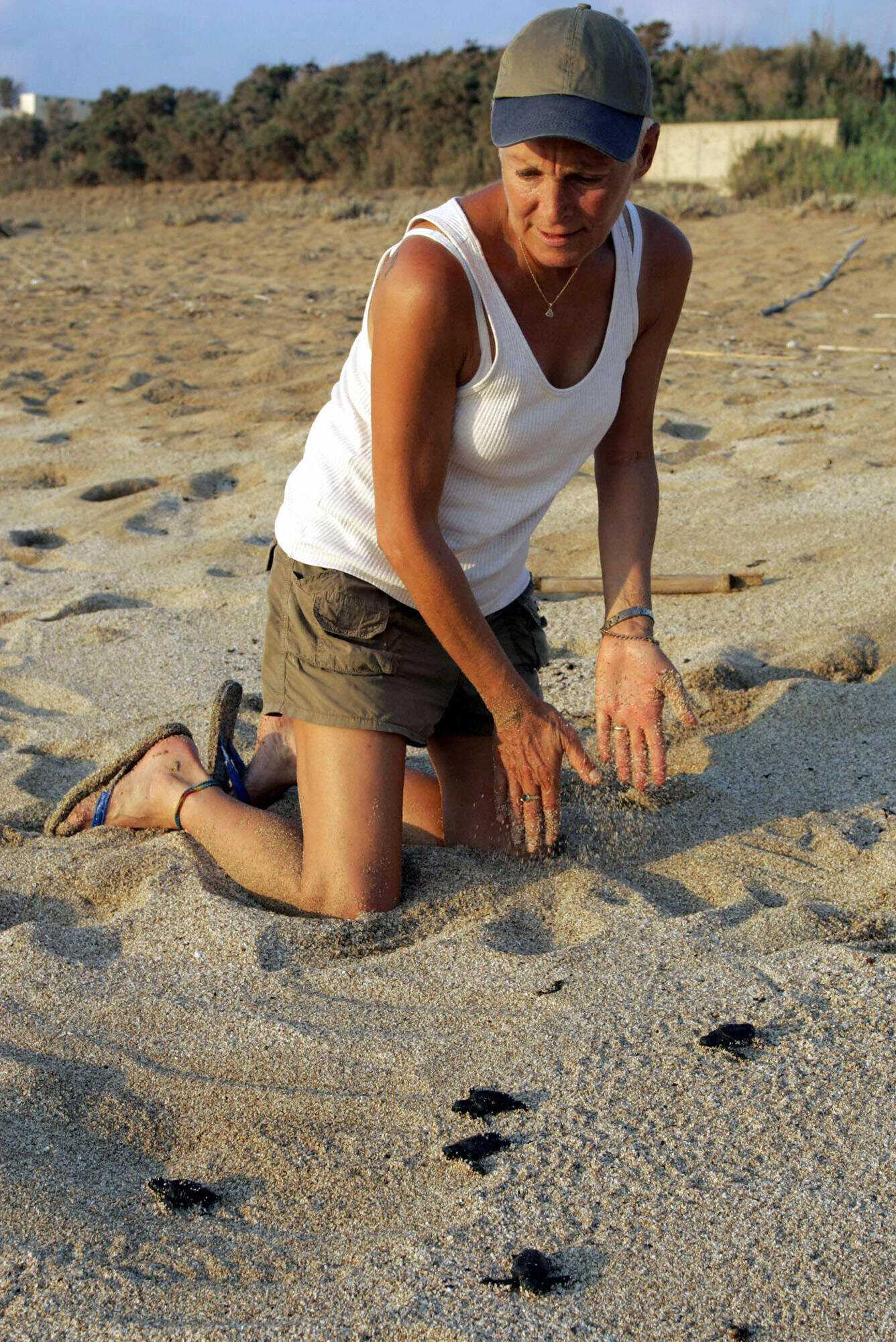 Mona Khalil, Defender of Sea Turtles, Killed in an Israeli Strike in Lebanon