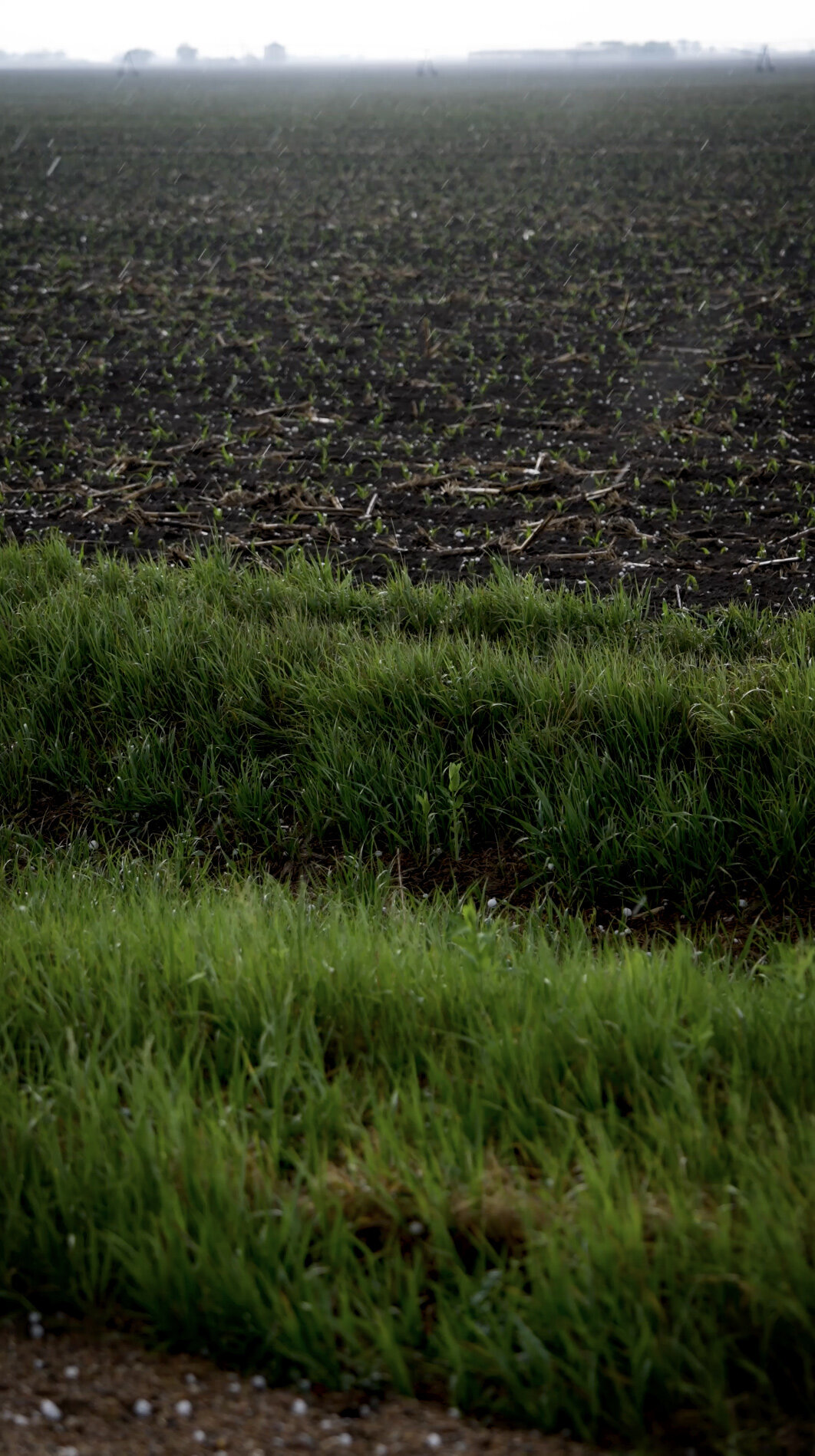 Inside the United States’ Billion-Dollar Blind Spot