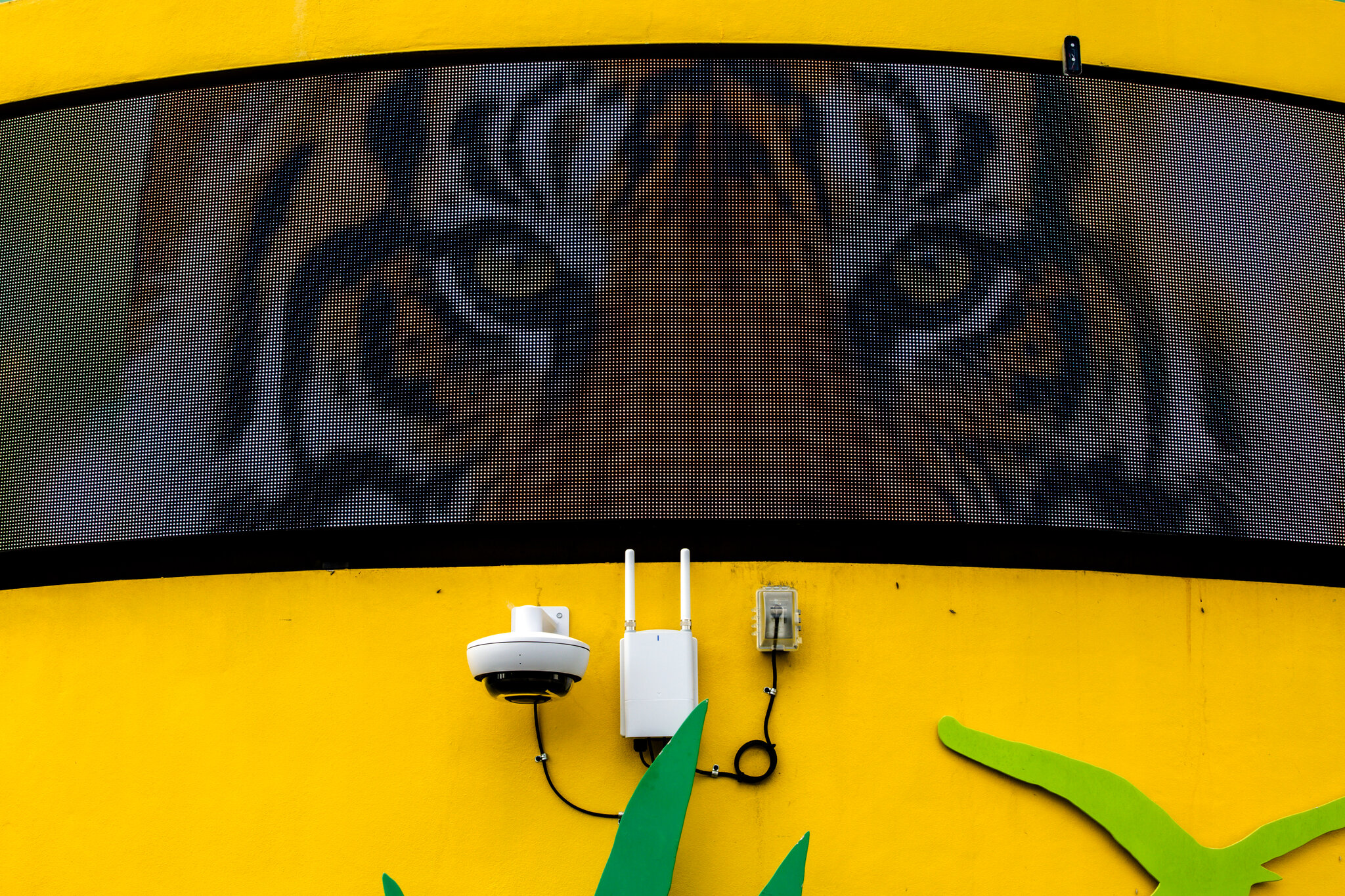 Lions, Tigers and Bomb-Sniffing Dogs: Zoos Face Scores of Swatting Calls