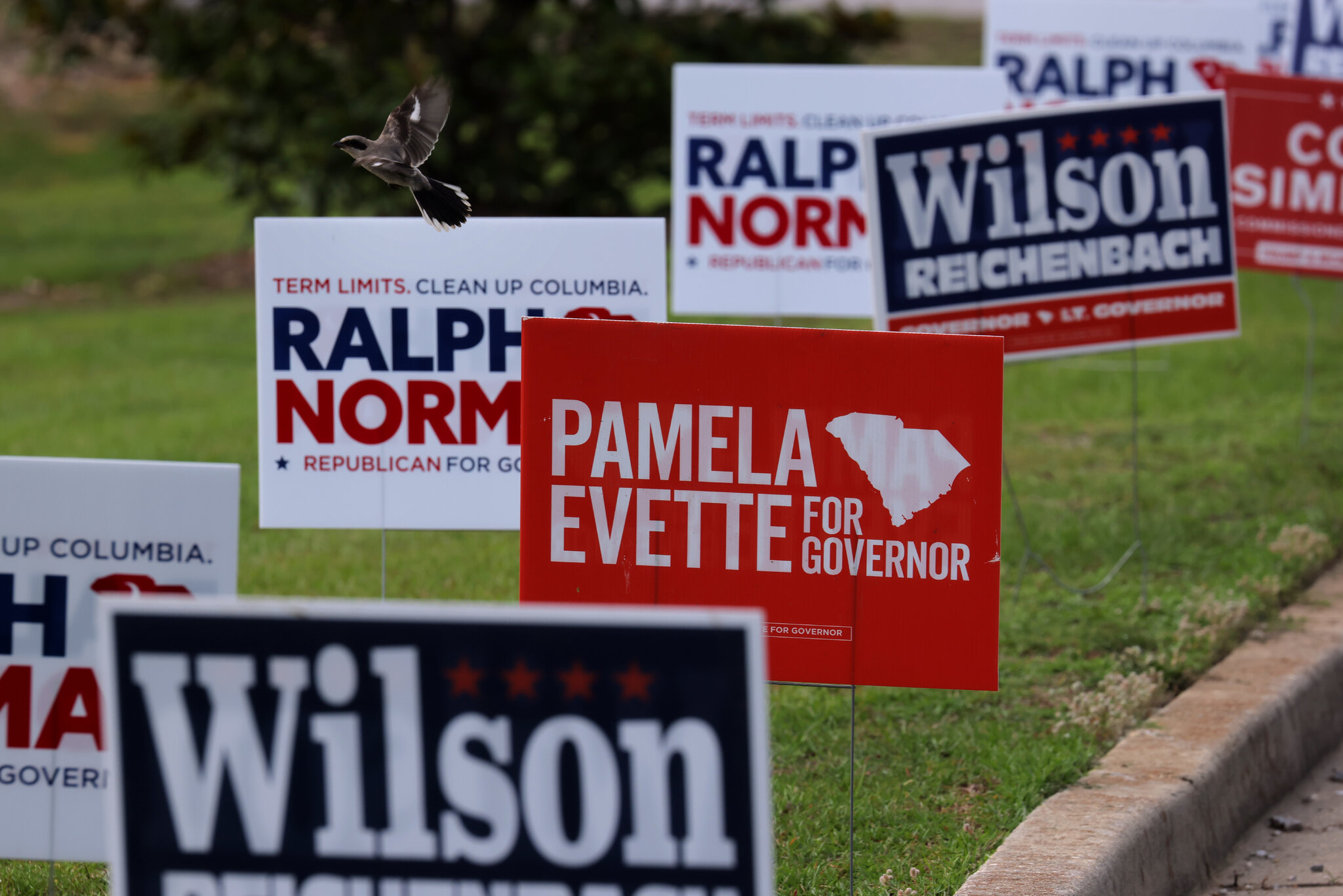 Areas to Watch in a Complicated South Carolina Primary Runoff