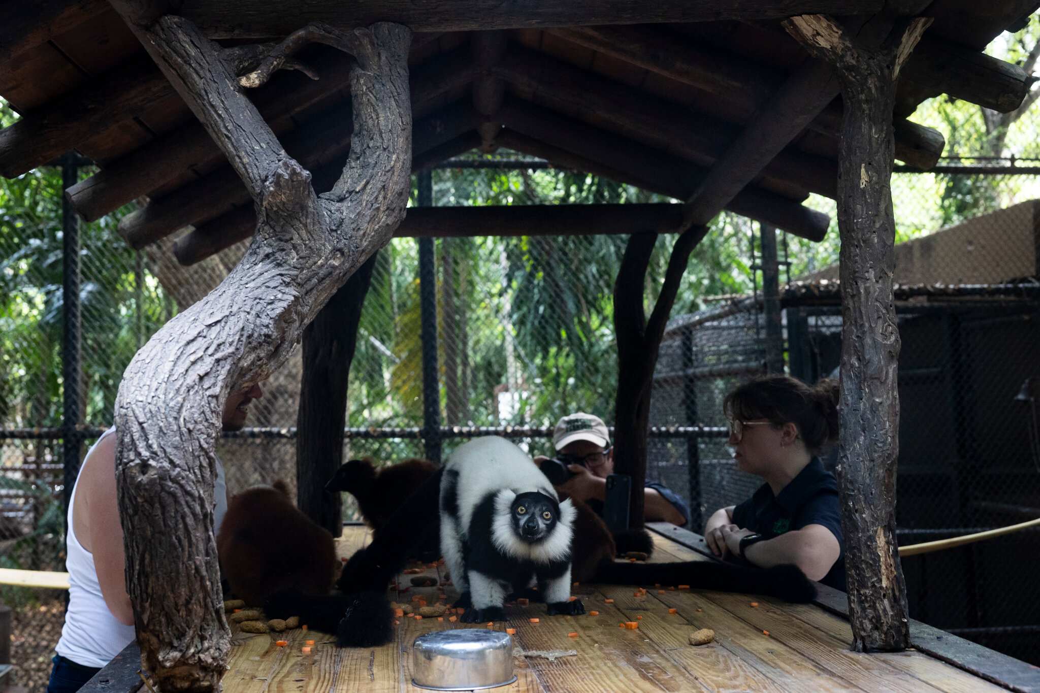 A Wildlife Regulator’s Family Business Had a Permit to Renew. She Stepped In.