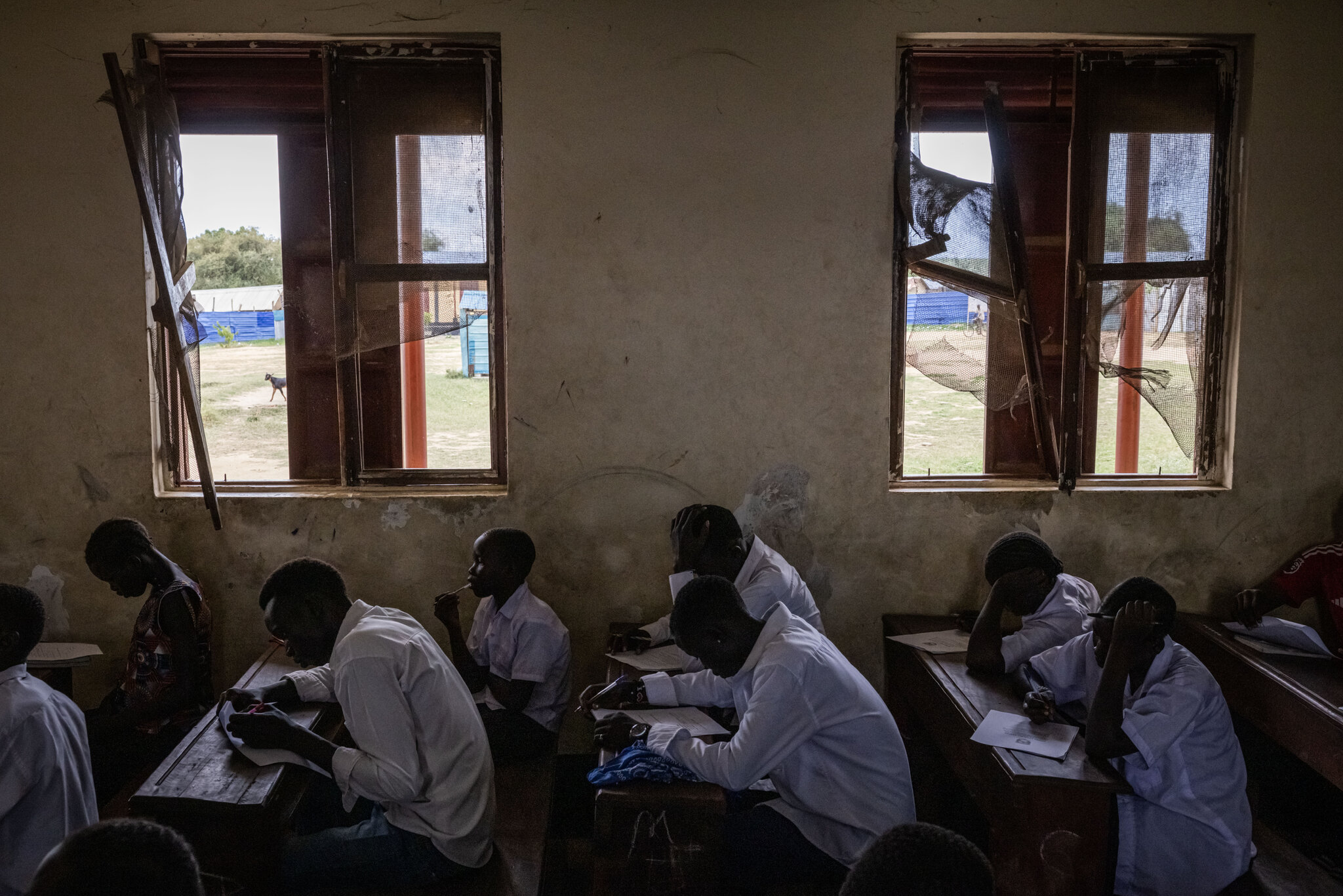 ‘I Like My Job Too Much’: Unpaid Teachers Fight to Save a Nation’s Schools