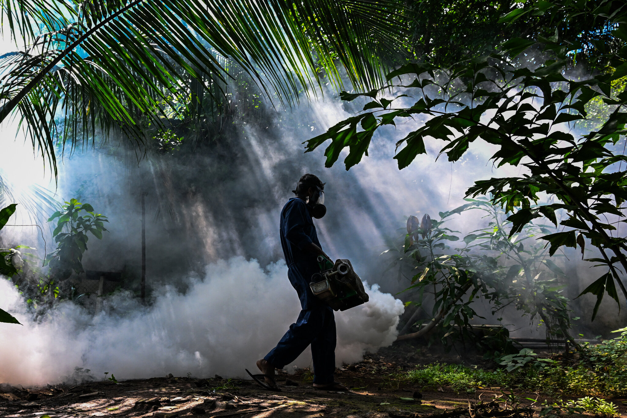 Drones Used to Fight Mosquitoes as Dengue Fever Surges in Sri Lanka