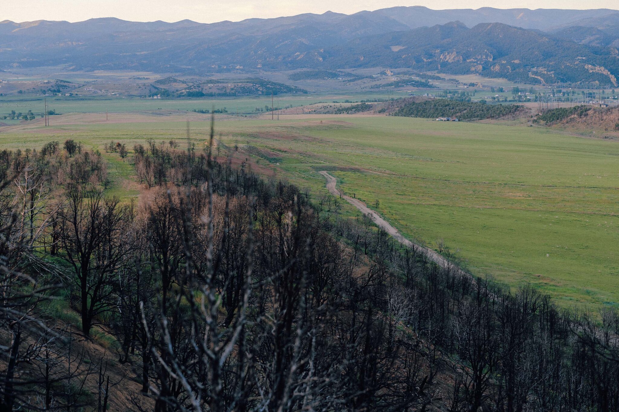 In Colorado, the Long Aftermath of a Fire Feels Political