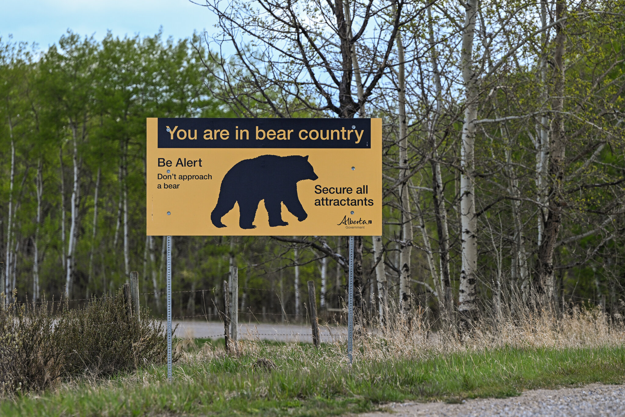 A Grizzly Encounter, Recorded in Its Entirety, Shows a Close Call
