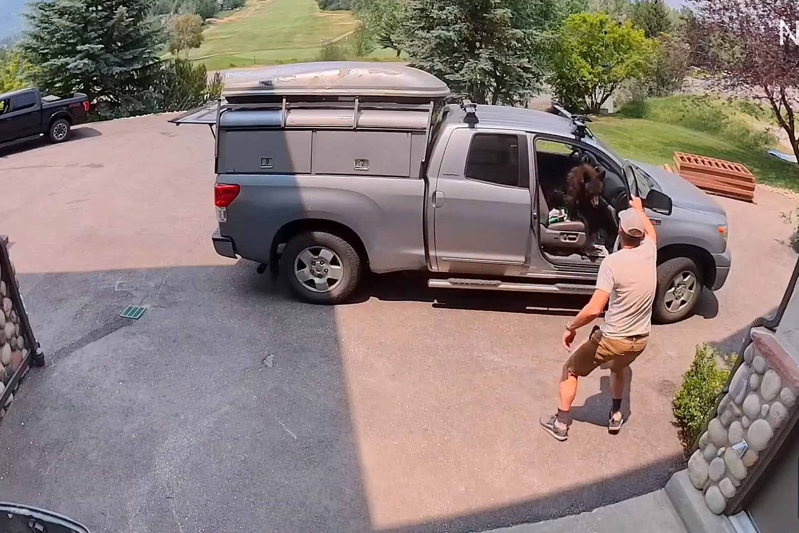 Bear Breaks Into Truck, Helping Itself to Handyman’s Lunch