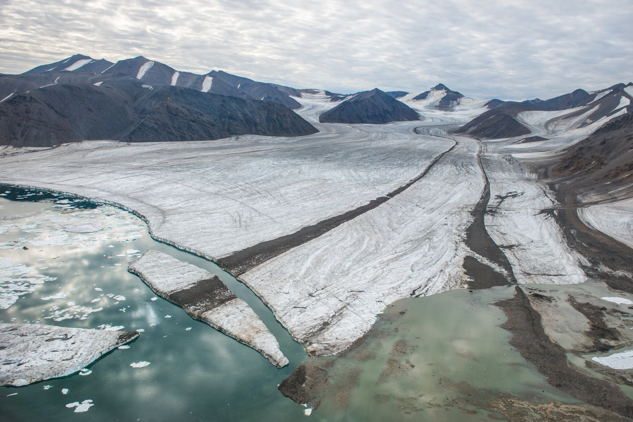 As Ice Melts in the Arctic, Some Deep-Sea Creatures Are Thriving