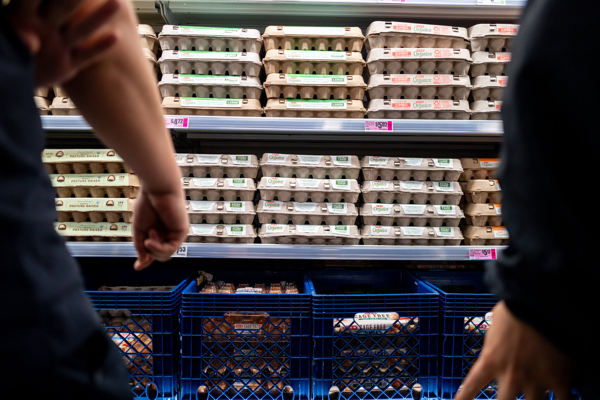 Egg Producers to Pay $3.3 Million to Settle Federal Price-Fixing Lawsuit
