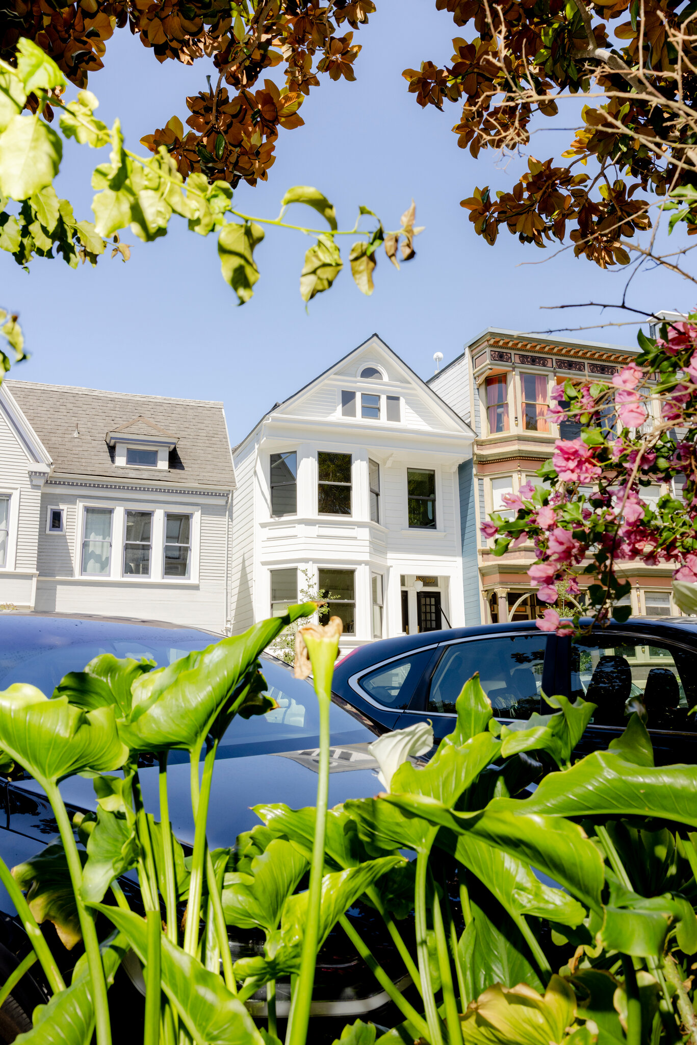 Let’s Make a Deal: My San Francisco House for Your A.I. Stock