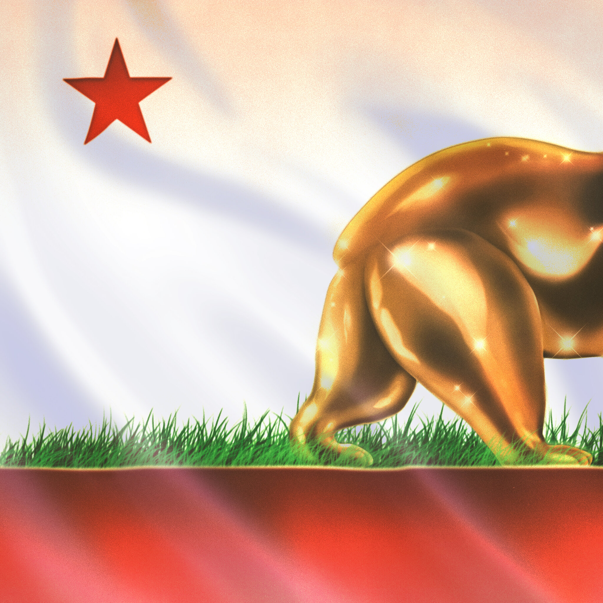 It Failed in France. It Would Be a Disaster in California.