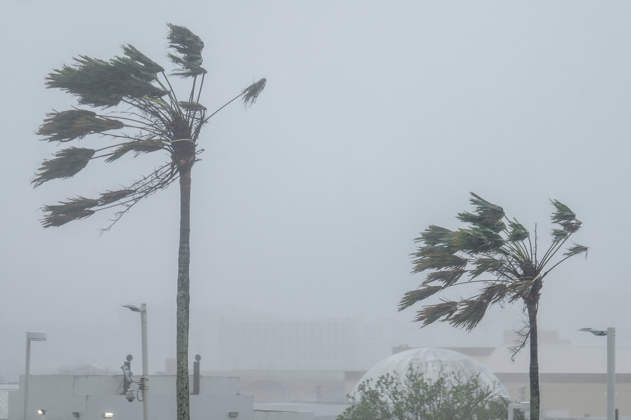 Typhoon Bavi Pounds Guam and Other Pacific U.S. Territories